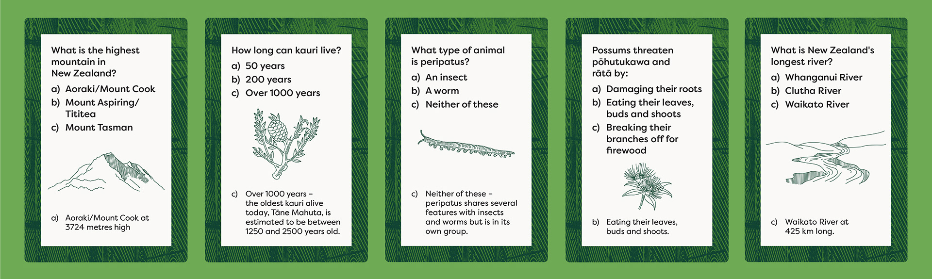 Back of the trivia snap cards