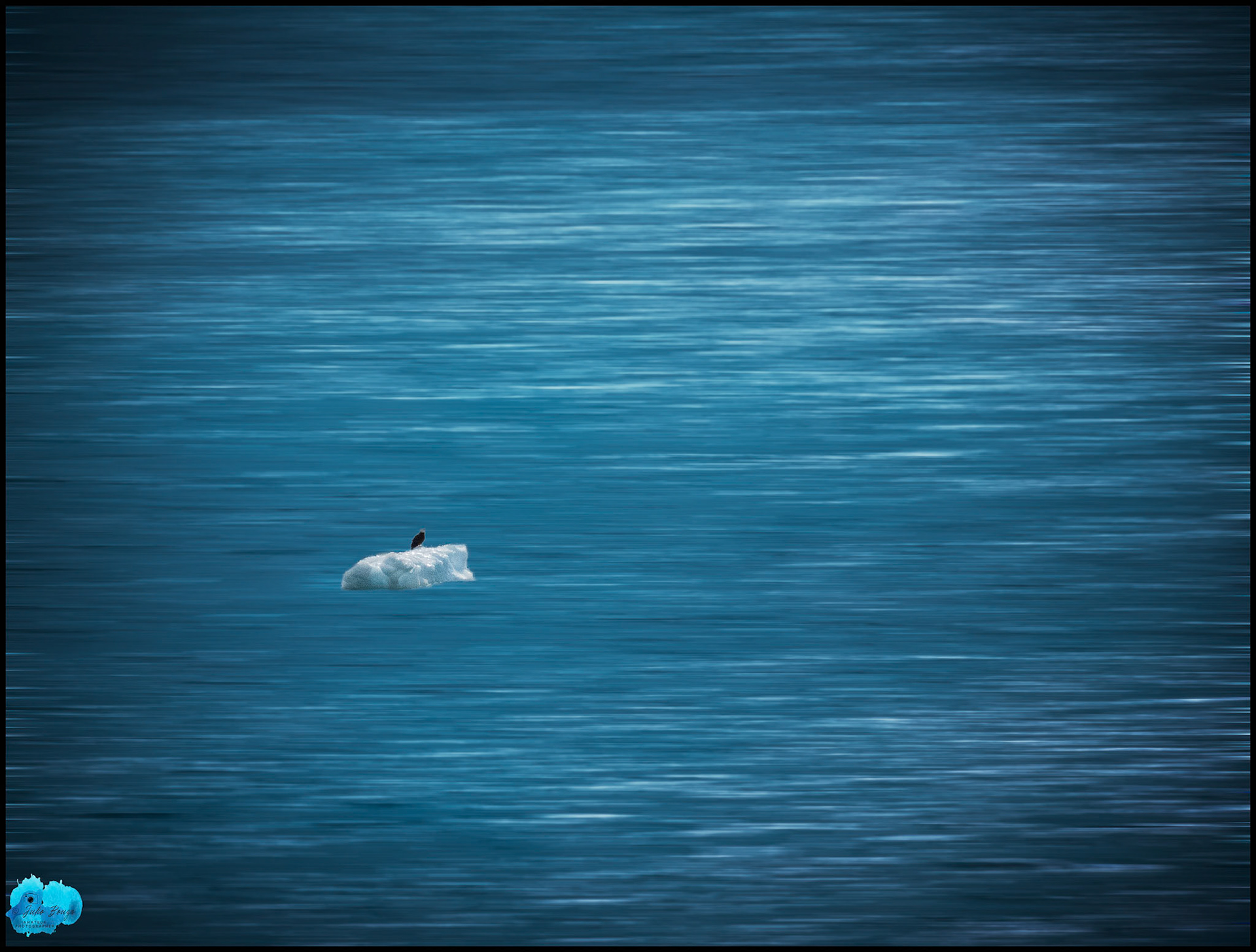 20240506 - Eagle On Broken Ice at Glacier Bay National Park and Preserve