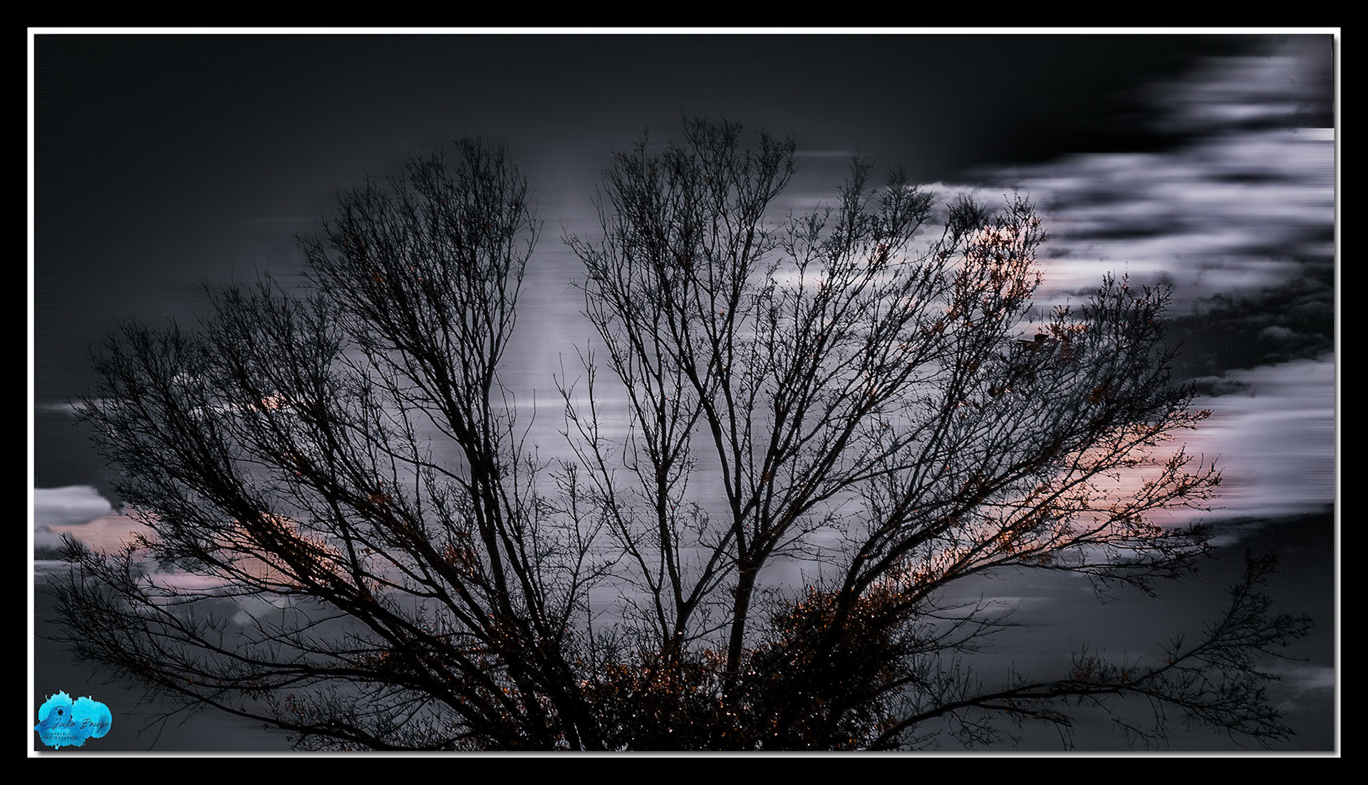 20240127 - Closeup of Tree With Sunset Background
