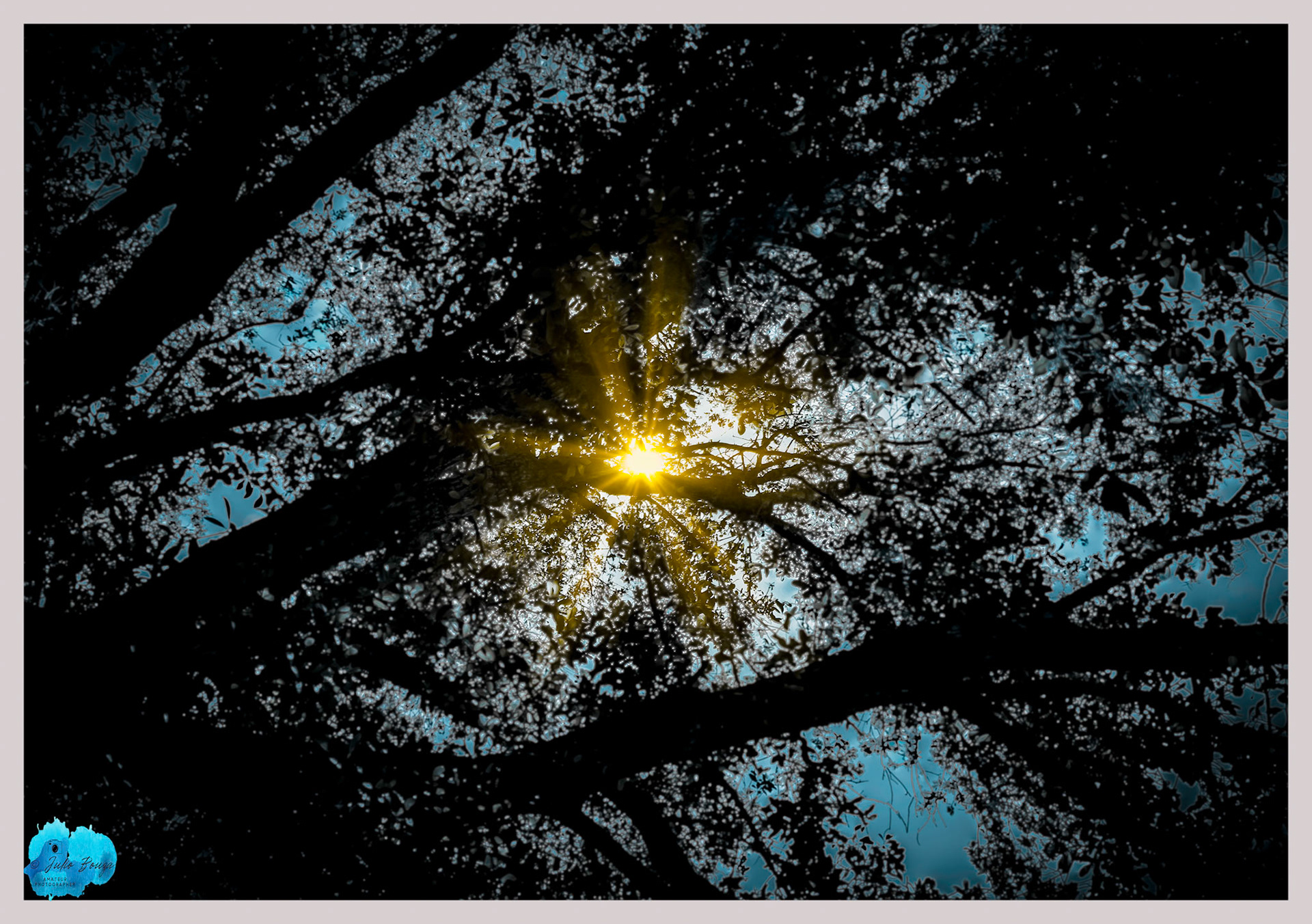 20240324 - Sunrays Over The Trees