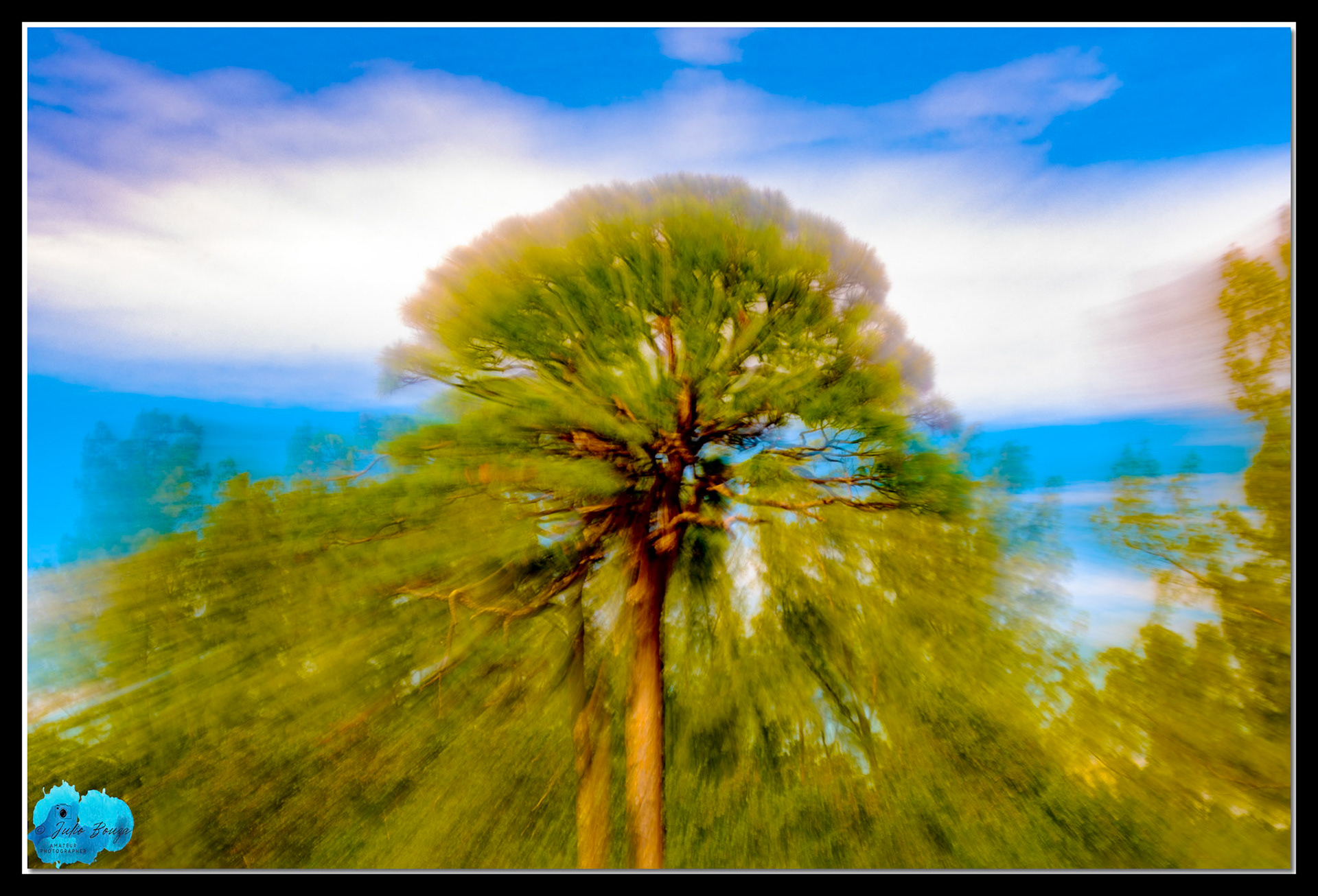 20211113 - Low Exposure Movement On A Tree