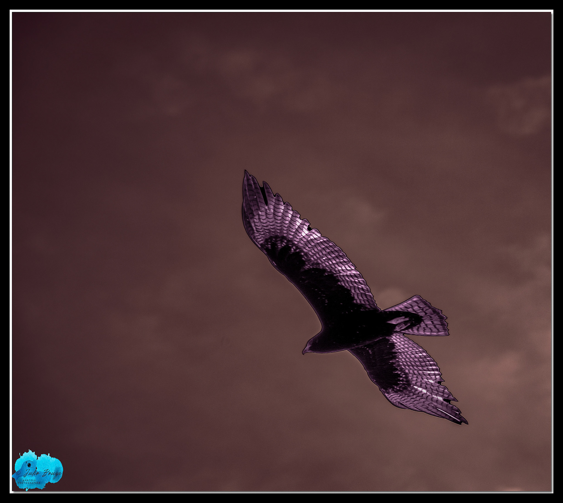 20231214 - Birds Flying Over Playa Las Hadas