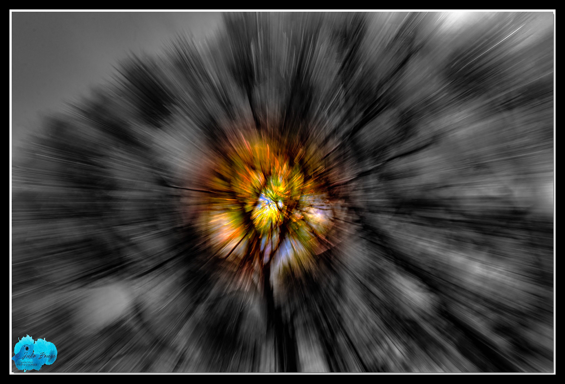 20211113 - Low Exposure Movement On A Tree With B/W Background