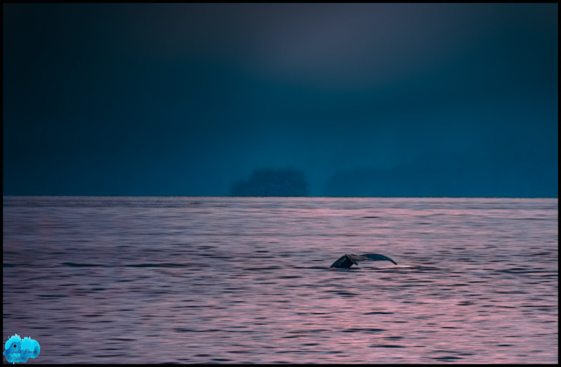 20240507 - Whale on the Ice Stray Point Waters