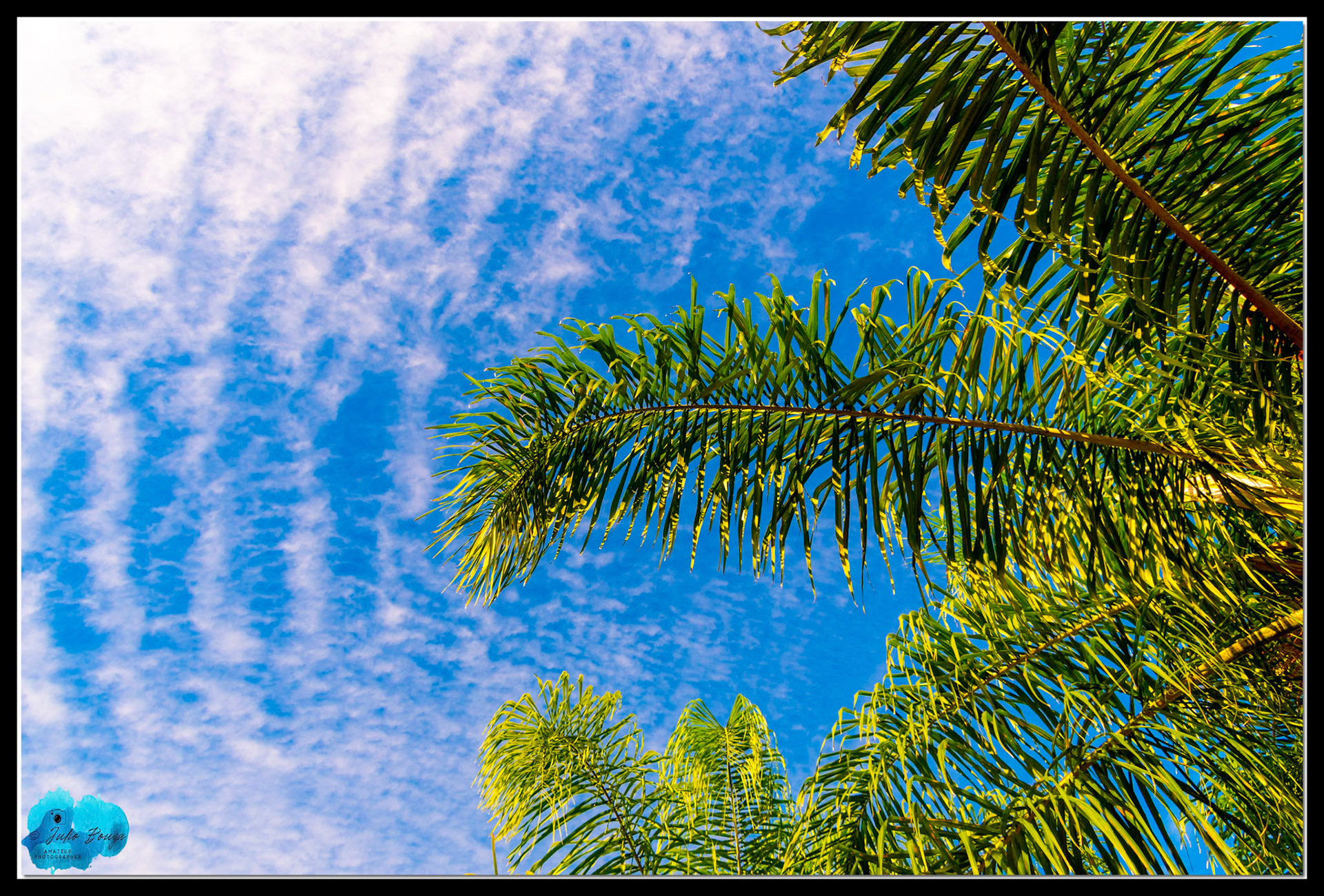 20210925 - View Of The Sky At Lucaya Village Resort