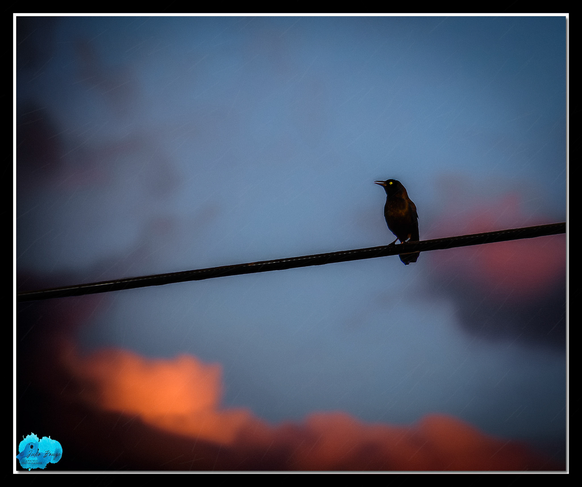 20230519 - Watching The Rain