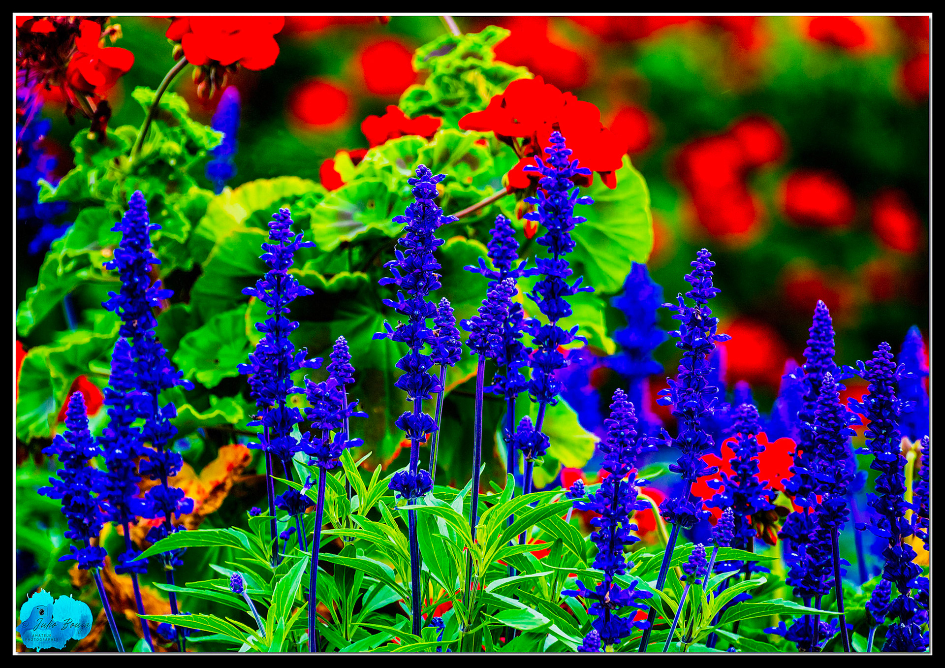 20210802 - Buckingham Palace Memorial Gardens