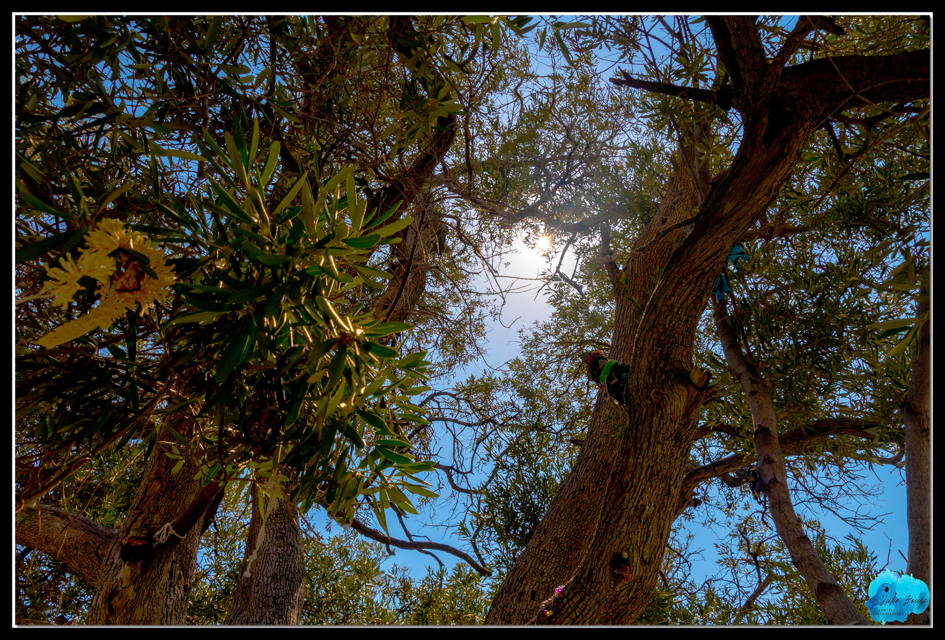 20210810 - Sun Rays Through The Trees At The Chapel Of Agios Ioannis At Skopelos