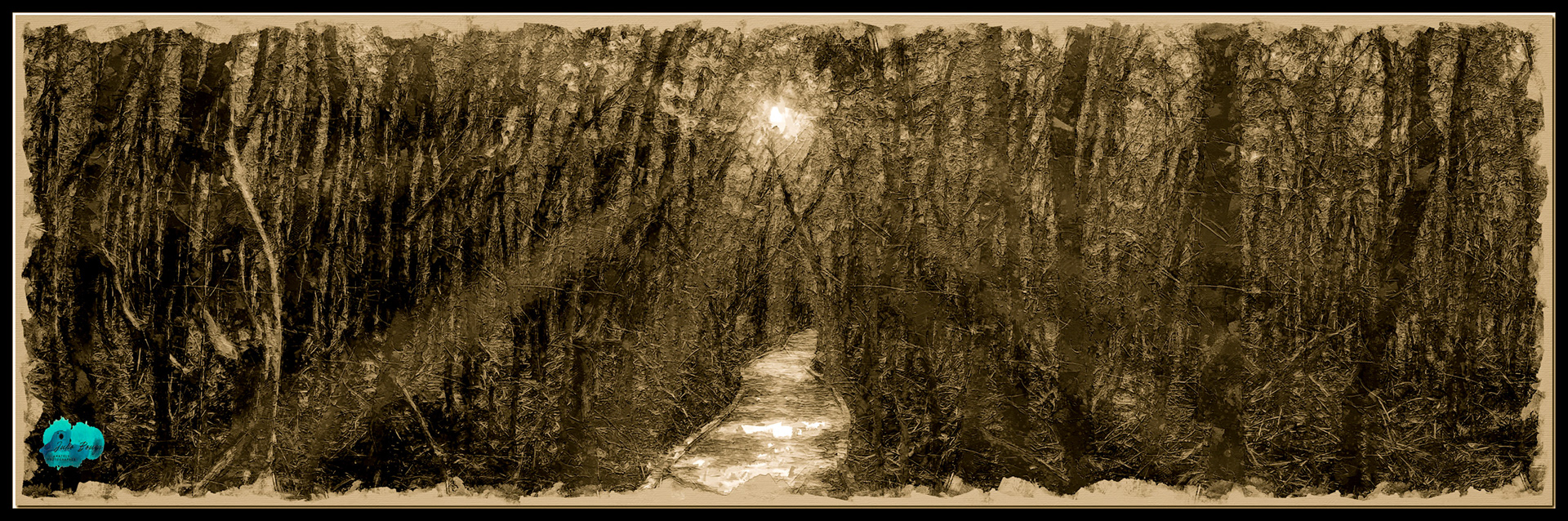 20220416 - Dreary Forest With Sun Rays