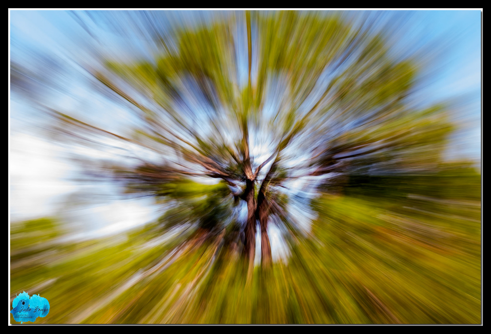 20211113 - Long Exposure Movement On A Tree