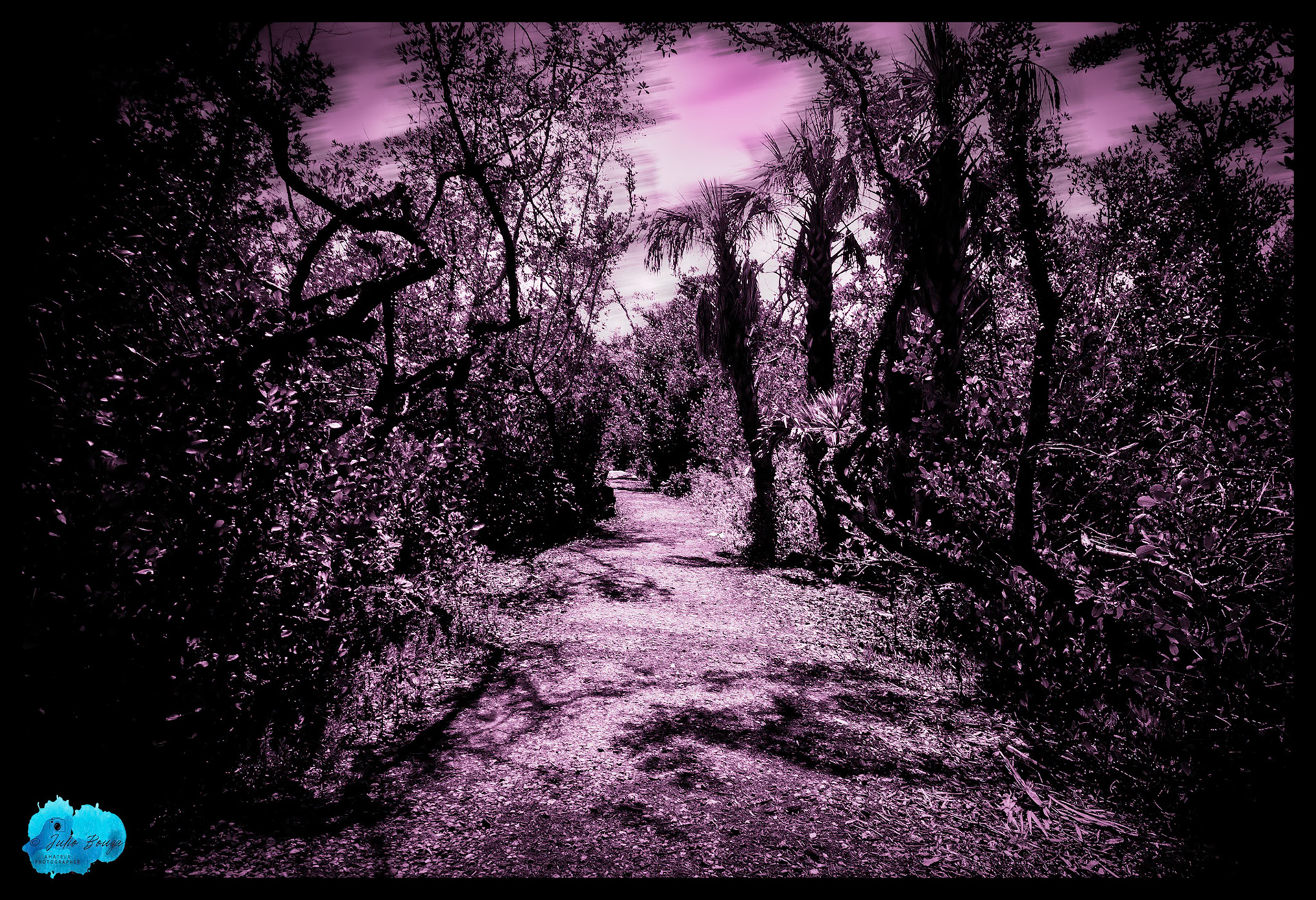 20240224 - Rotary Park Walking Trail