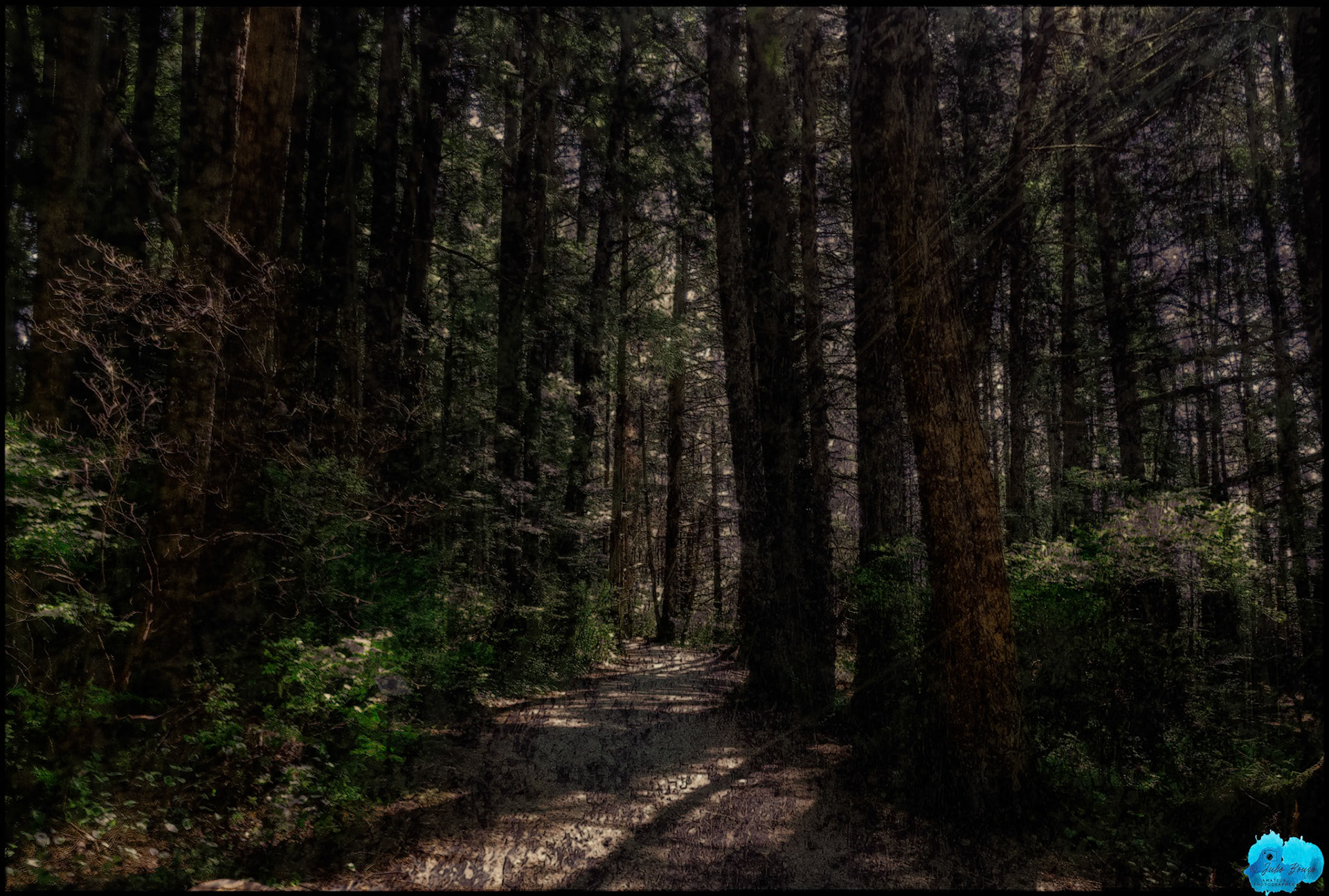 20240503 - View of Walkway at Sitka National Historical Park With Overlay