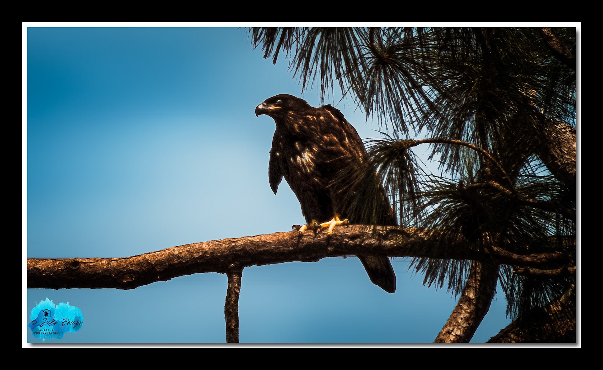 20240316 - Baby E23 By The Nest