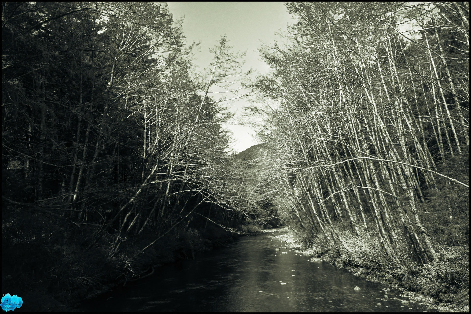 20240503 - View of Water Stream at Sitka National Historical Park