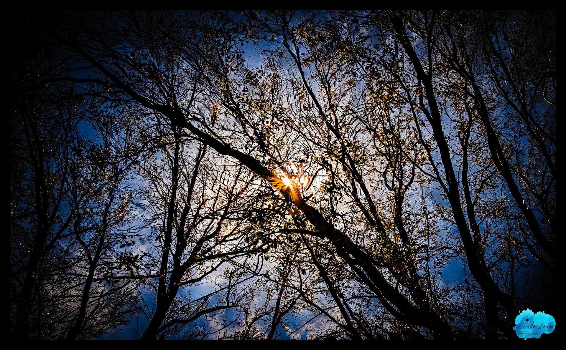 20240224 - Sunrays Behind The Trees