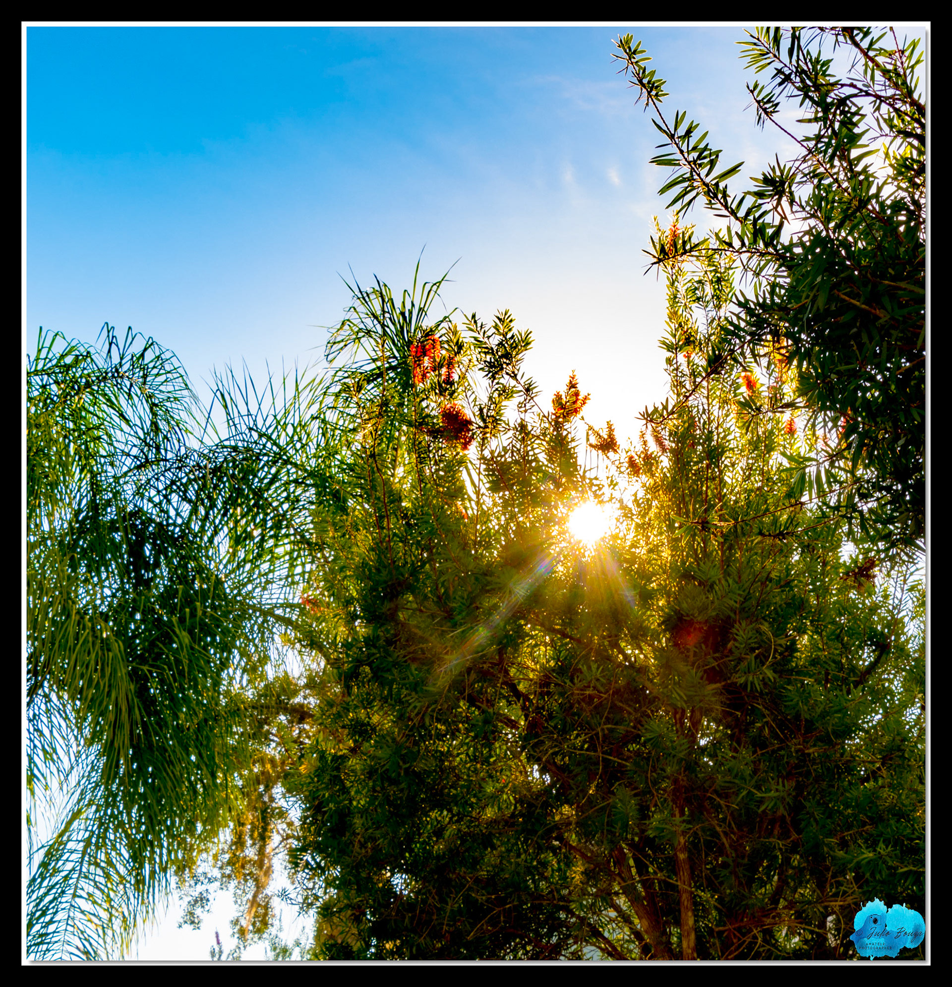 20210925 - Sun Rays Through The Trees