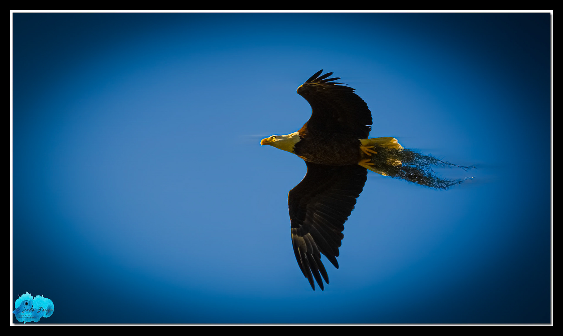 20240224 - M15 Flying To The Nest