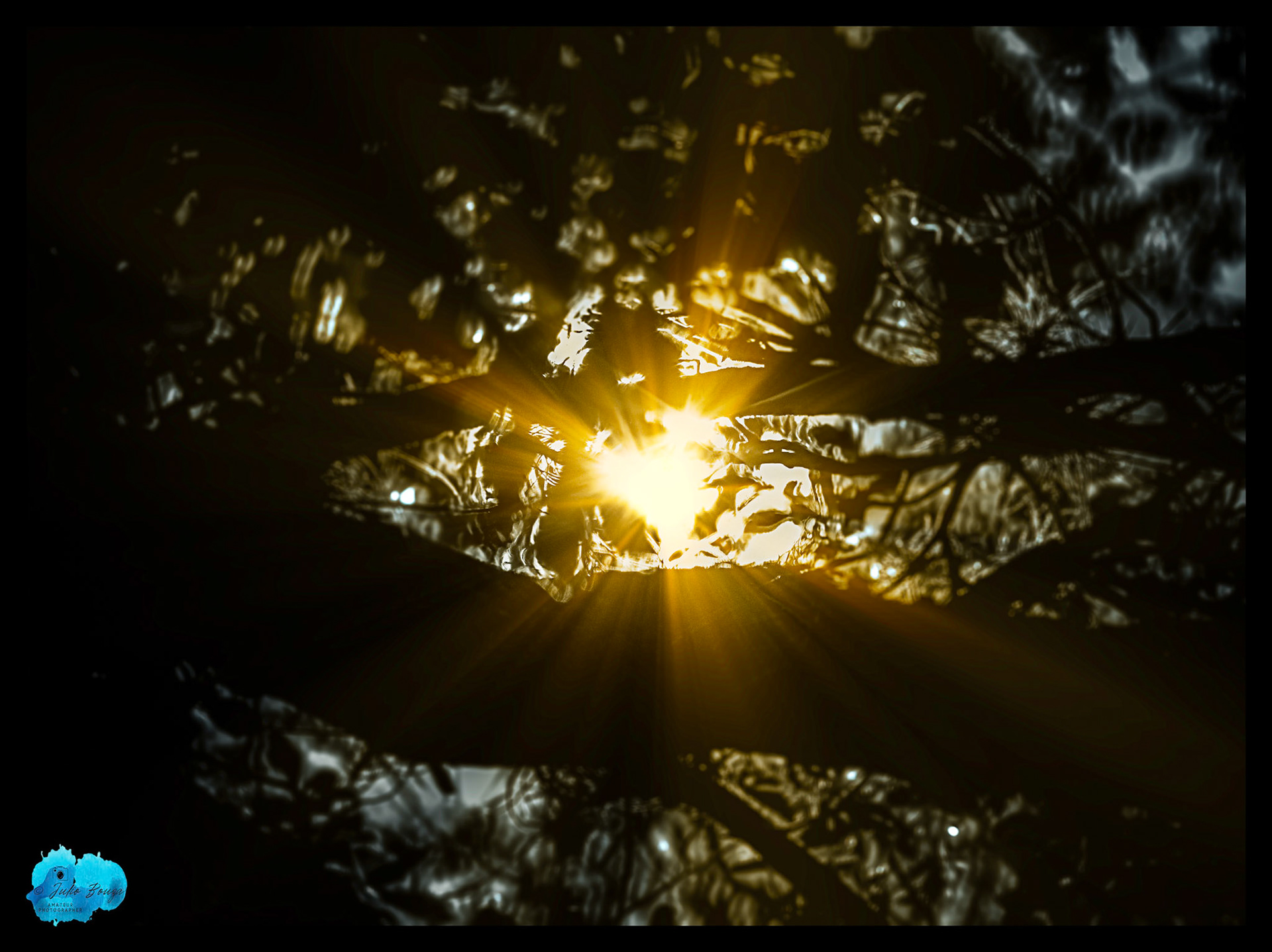 20240324 - Sunrays Over The Trees