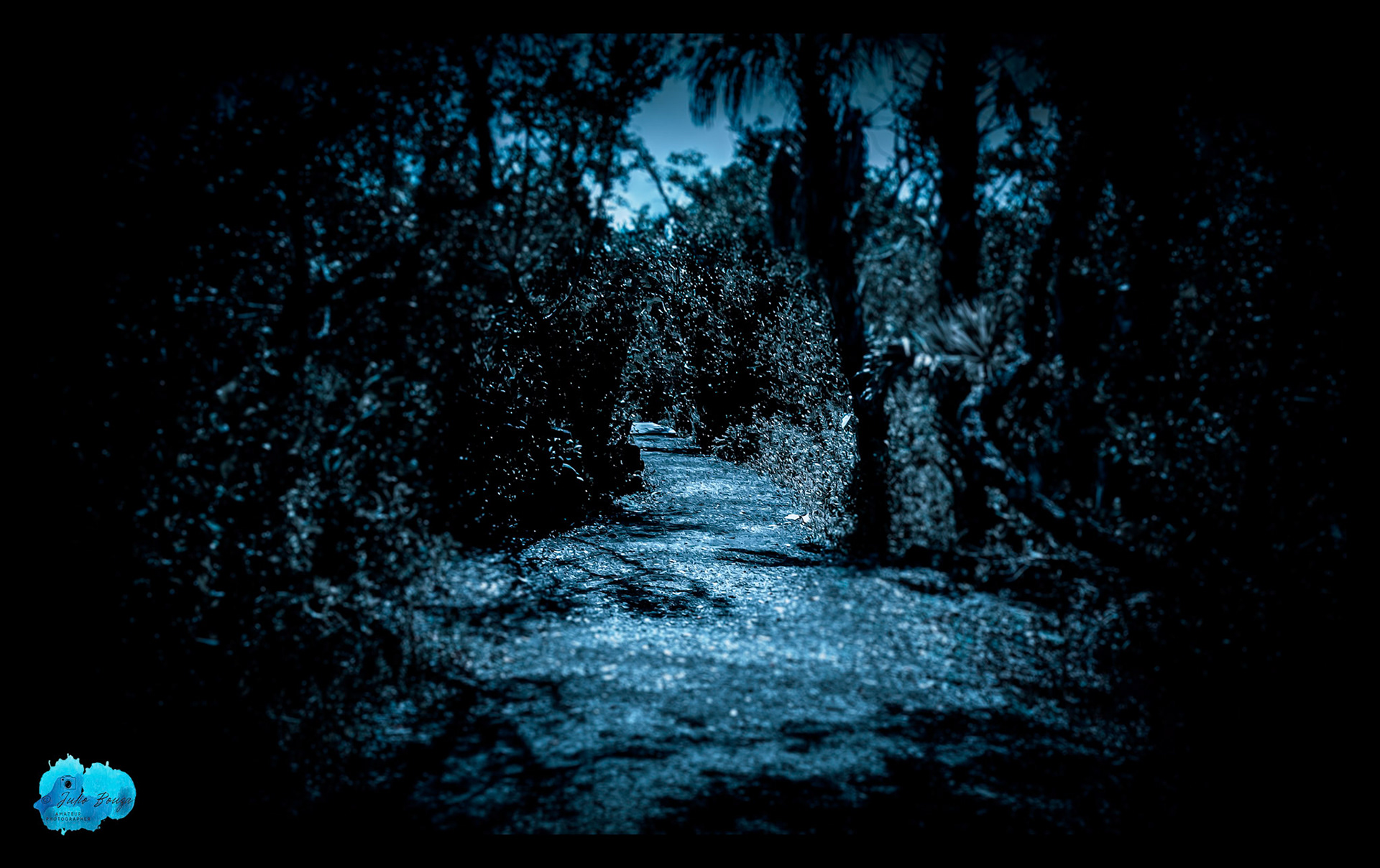 20240224 - Rotary Park Walking Trail