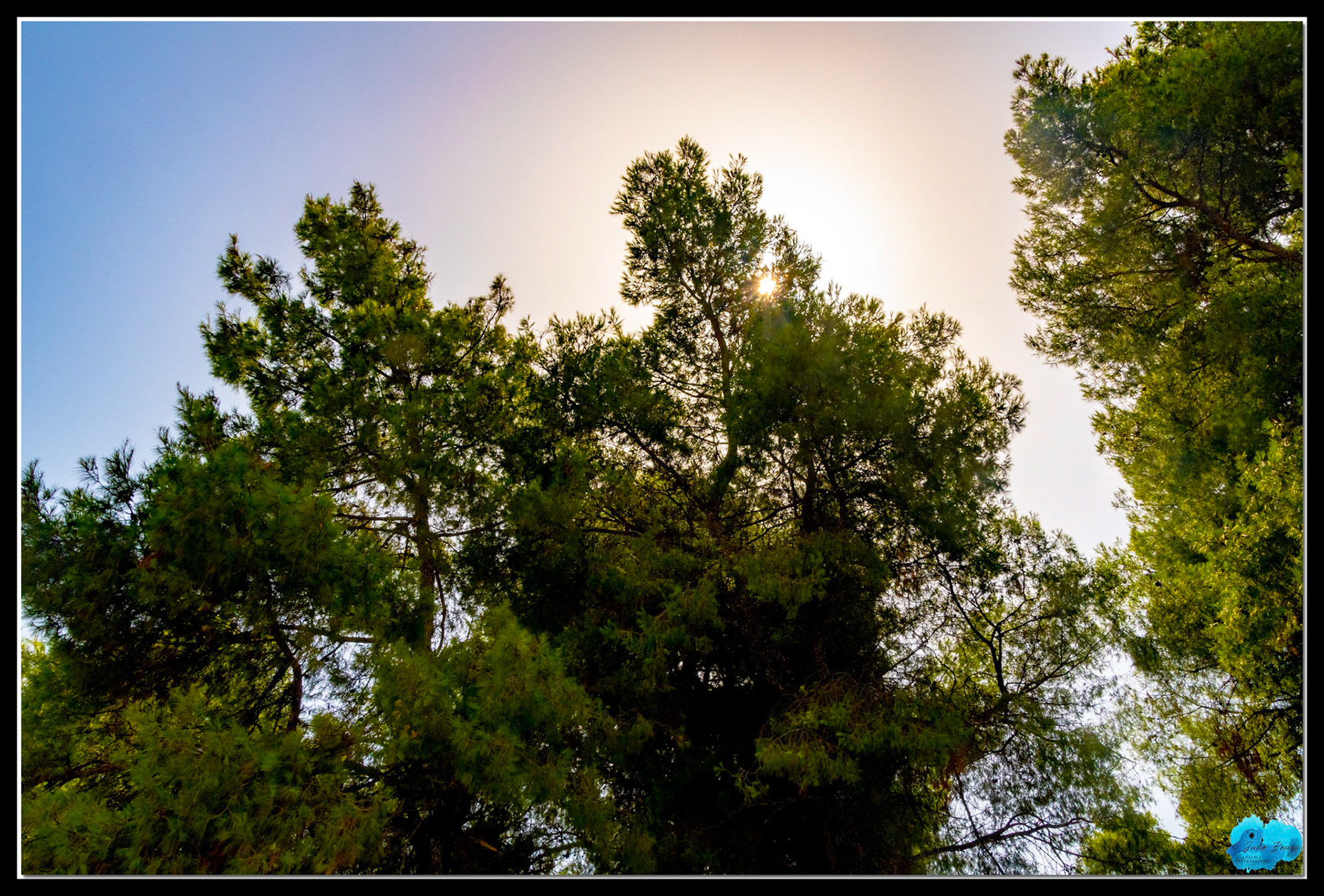 20210811 - Sun Through The Trees At Kastani Beach