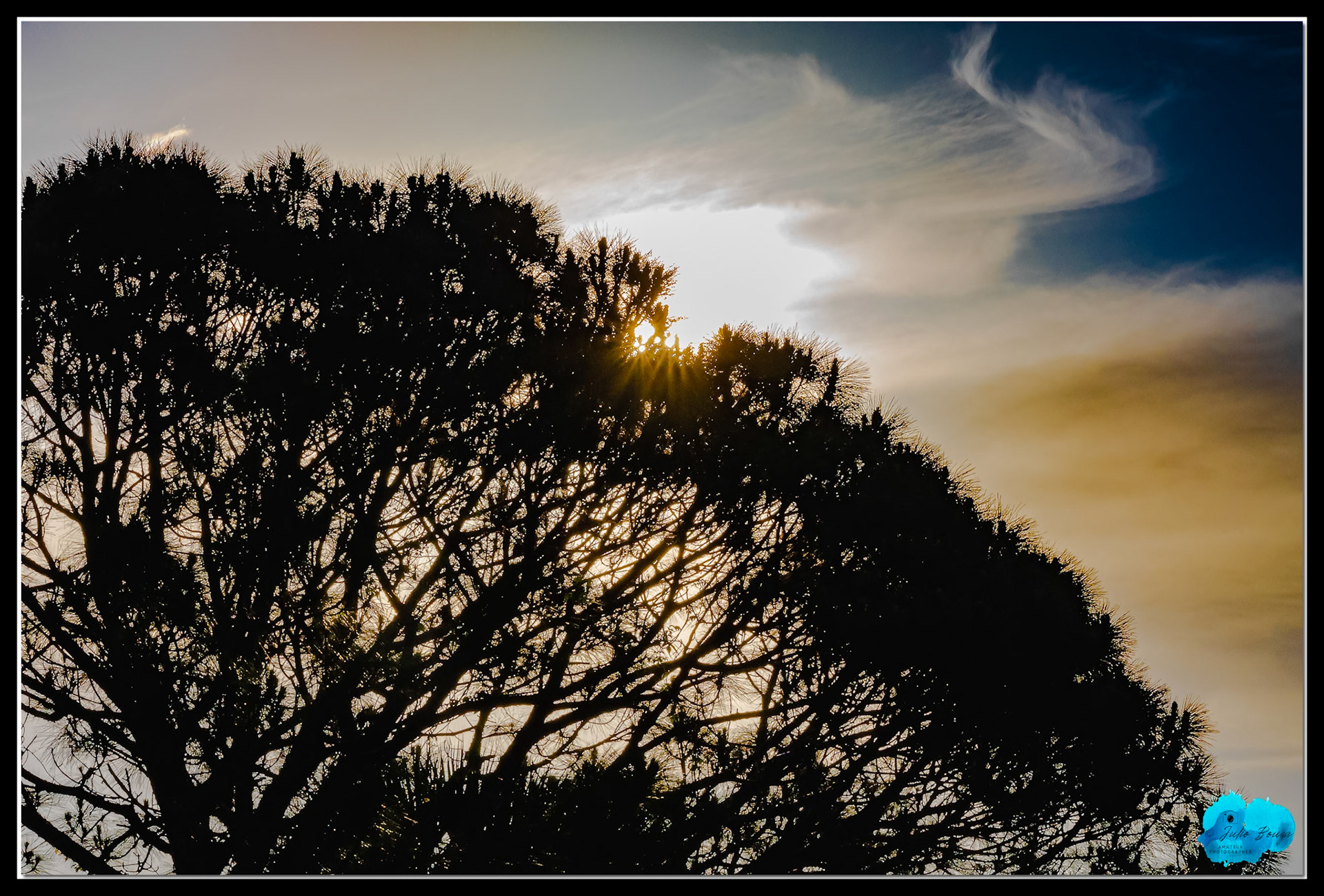 20210427 - Sunrise Through The Trees