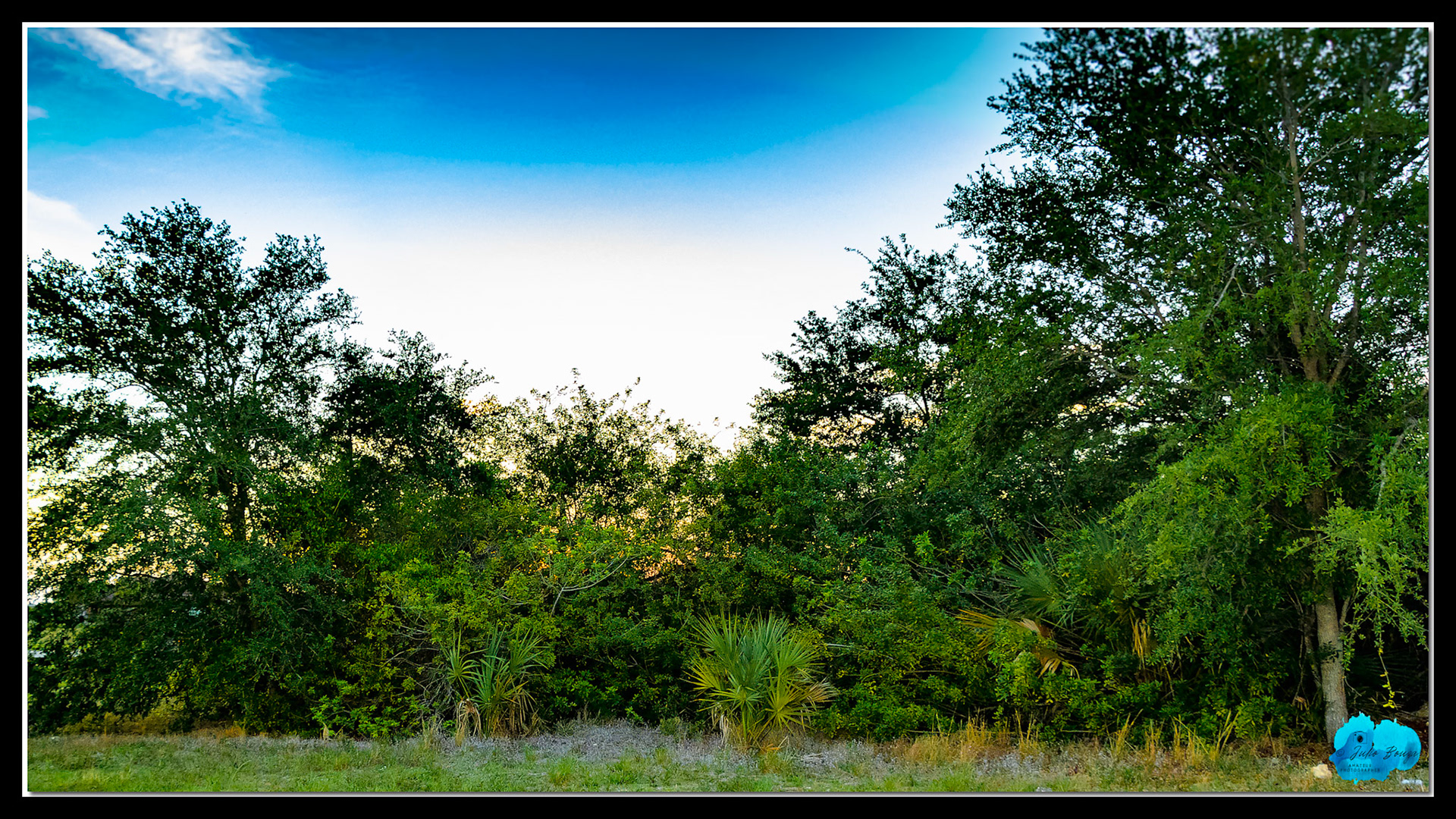 20210430 - Sunset Through The Trees