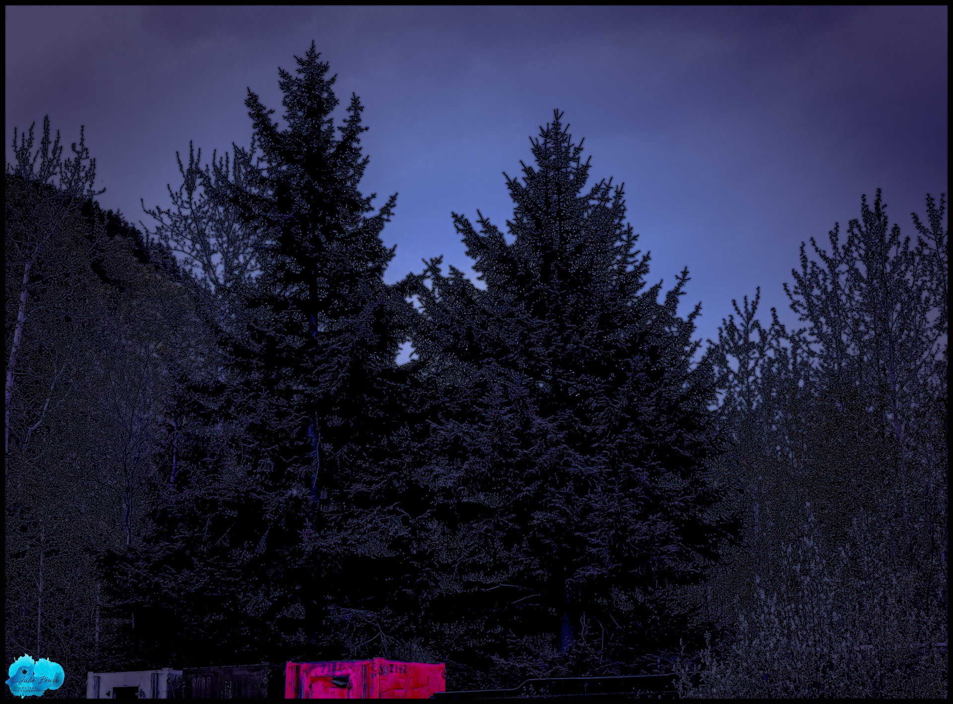 20240505 - Forrest In Skagway