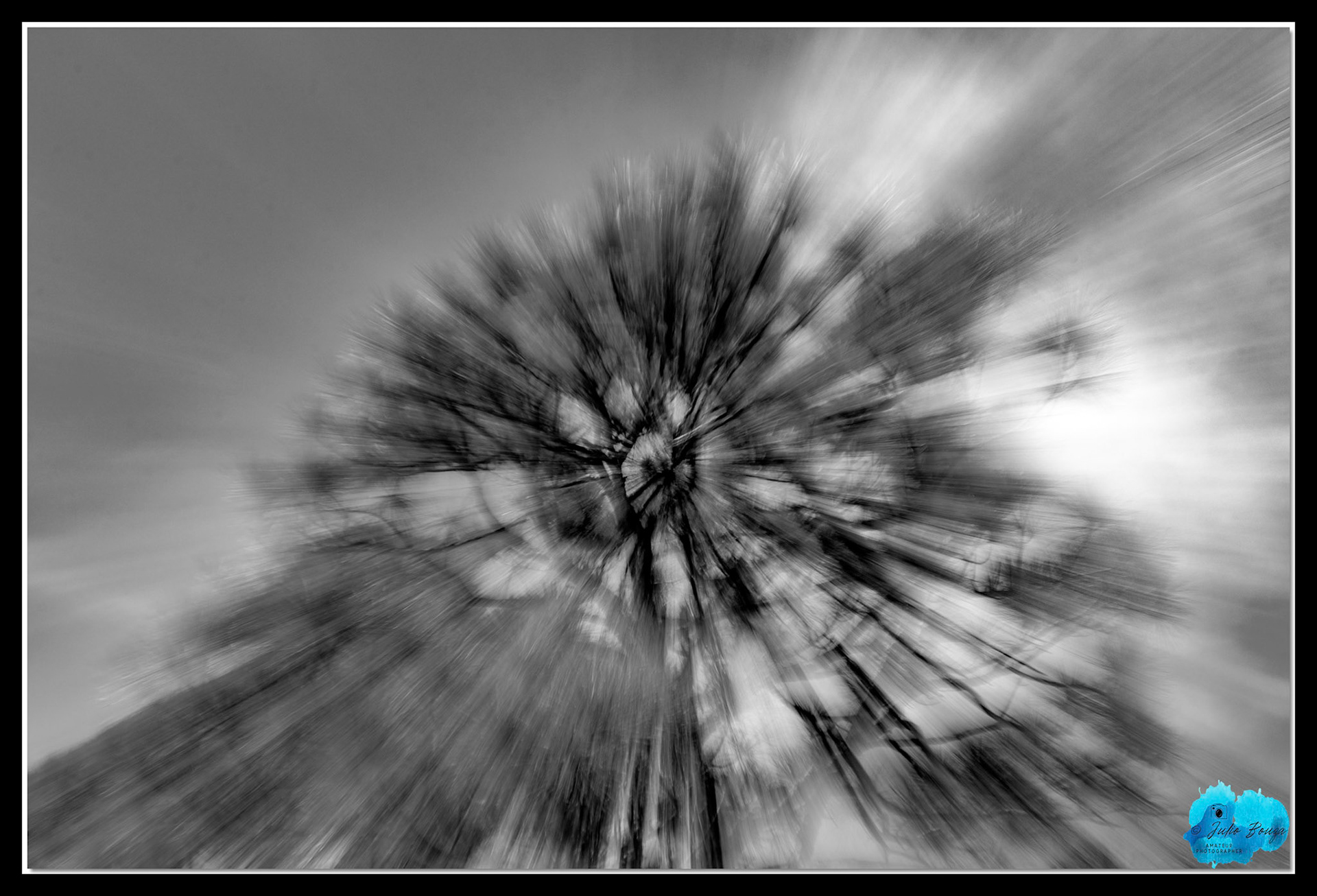 20211113 - B/W Low Exposure Movement On A Tree
