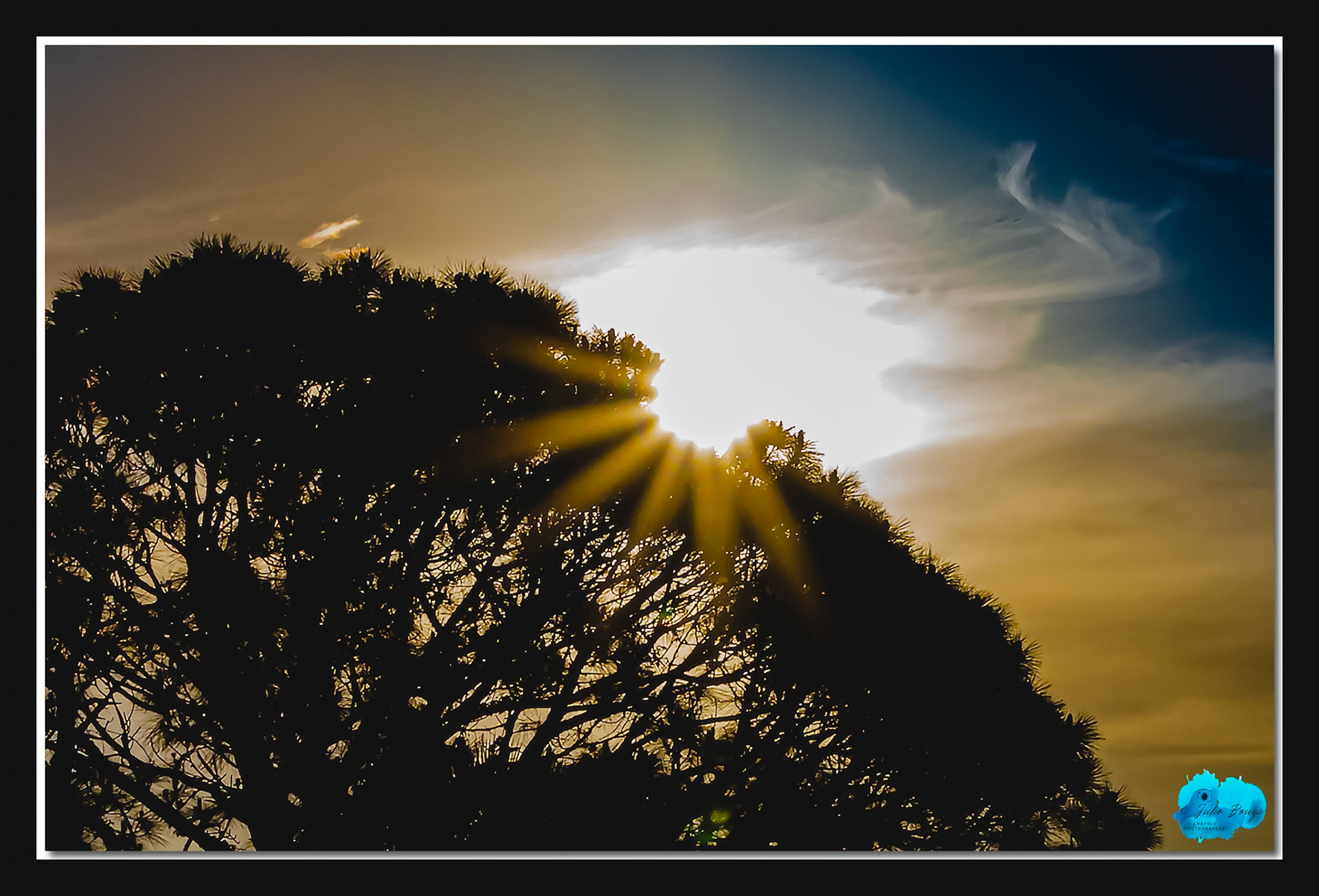 20210427 - Sunrise Through The Trees