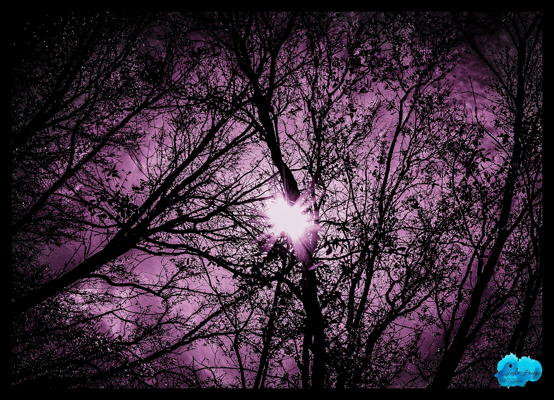 20240224 - Sunrays Behind The Trees