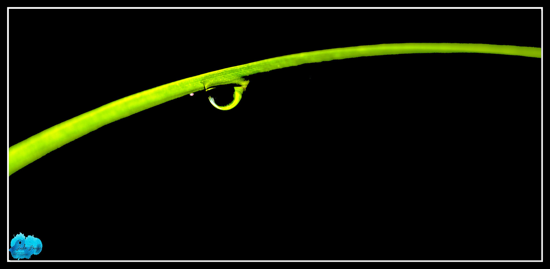 20211105 - Picture Of Water Drops On Plants