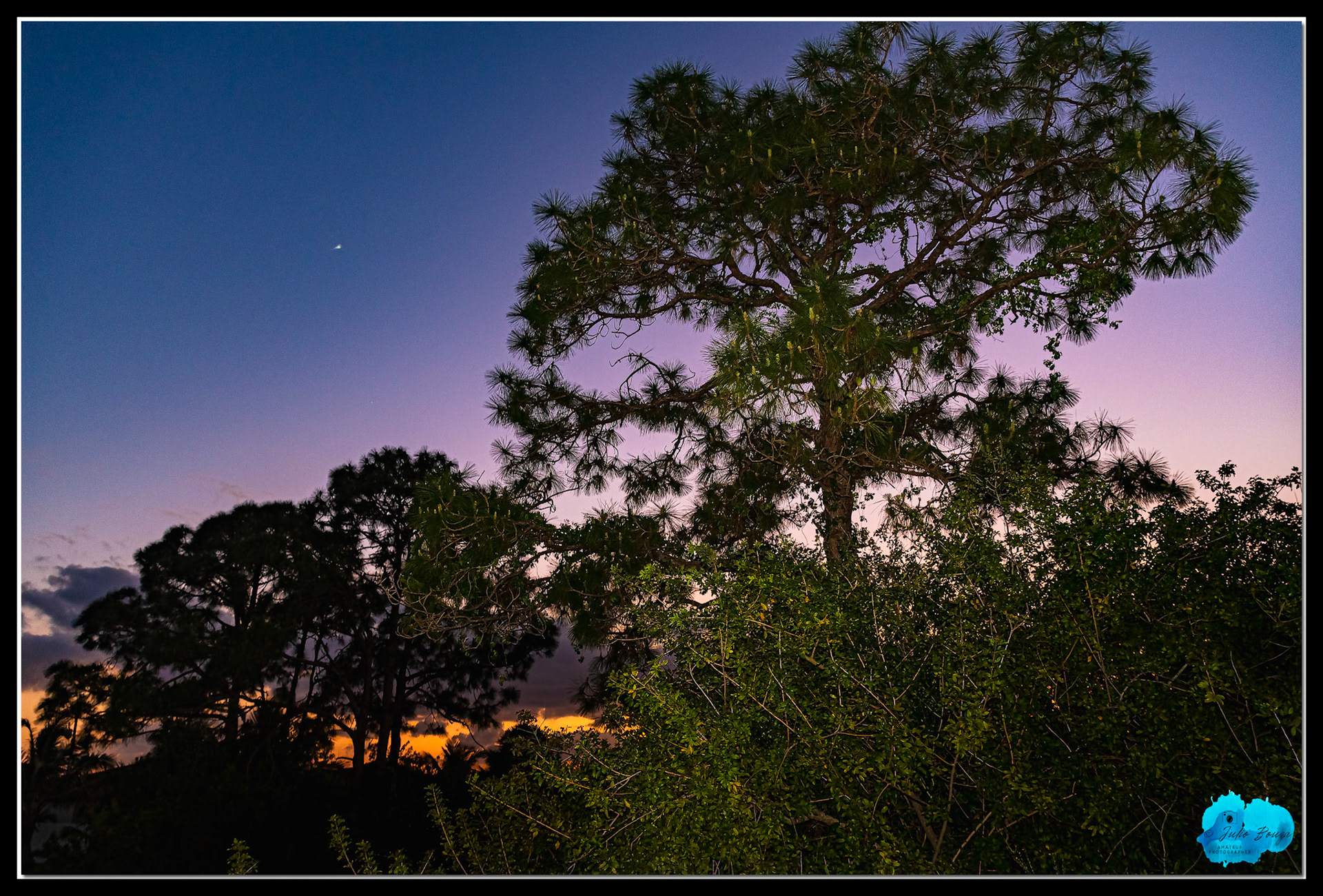 20210427 - Sunset View Through The Trees
