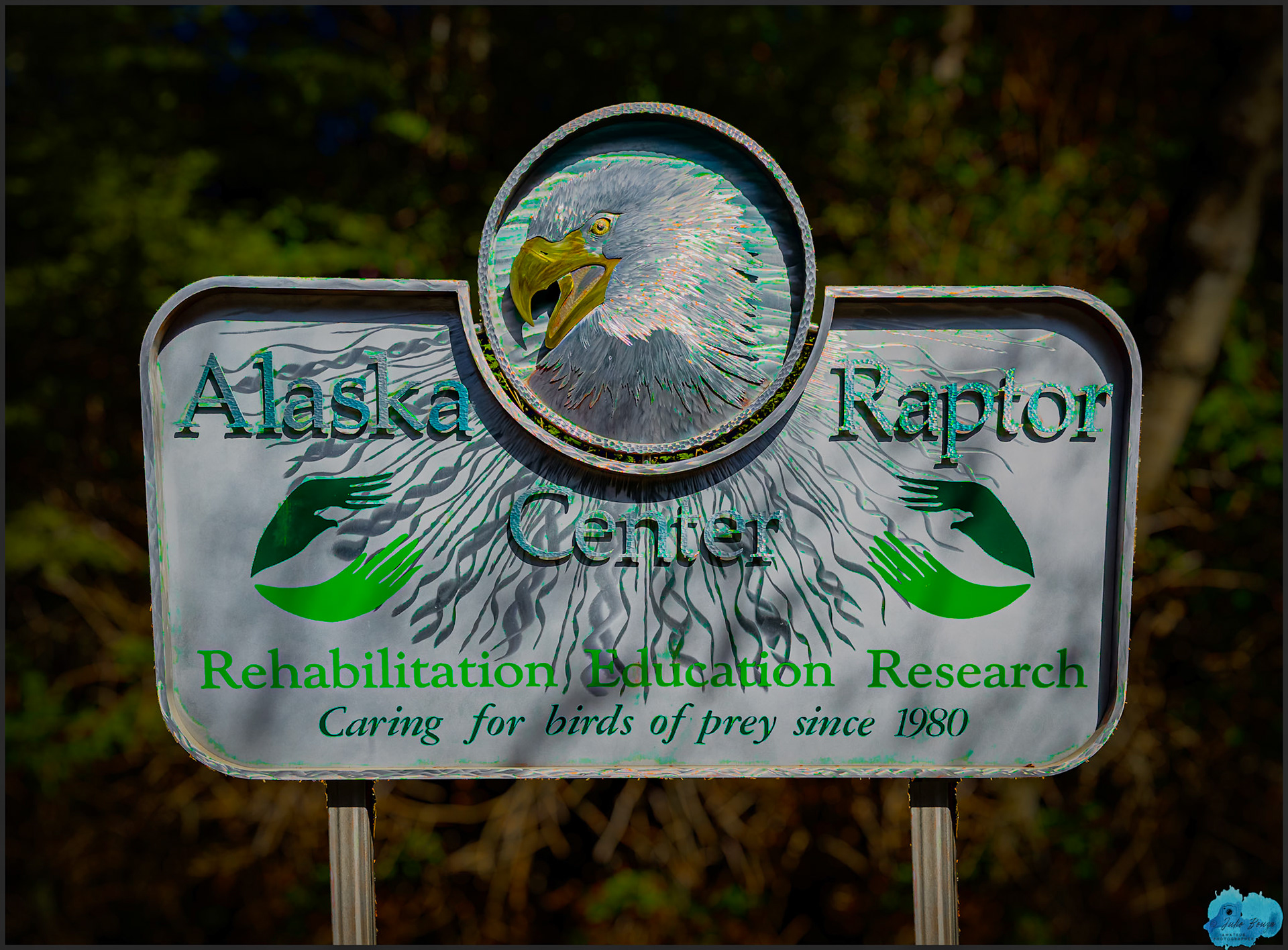 20240503 - Alaska Raptor Center
