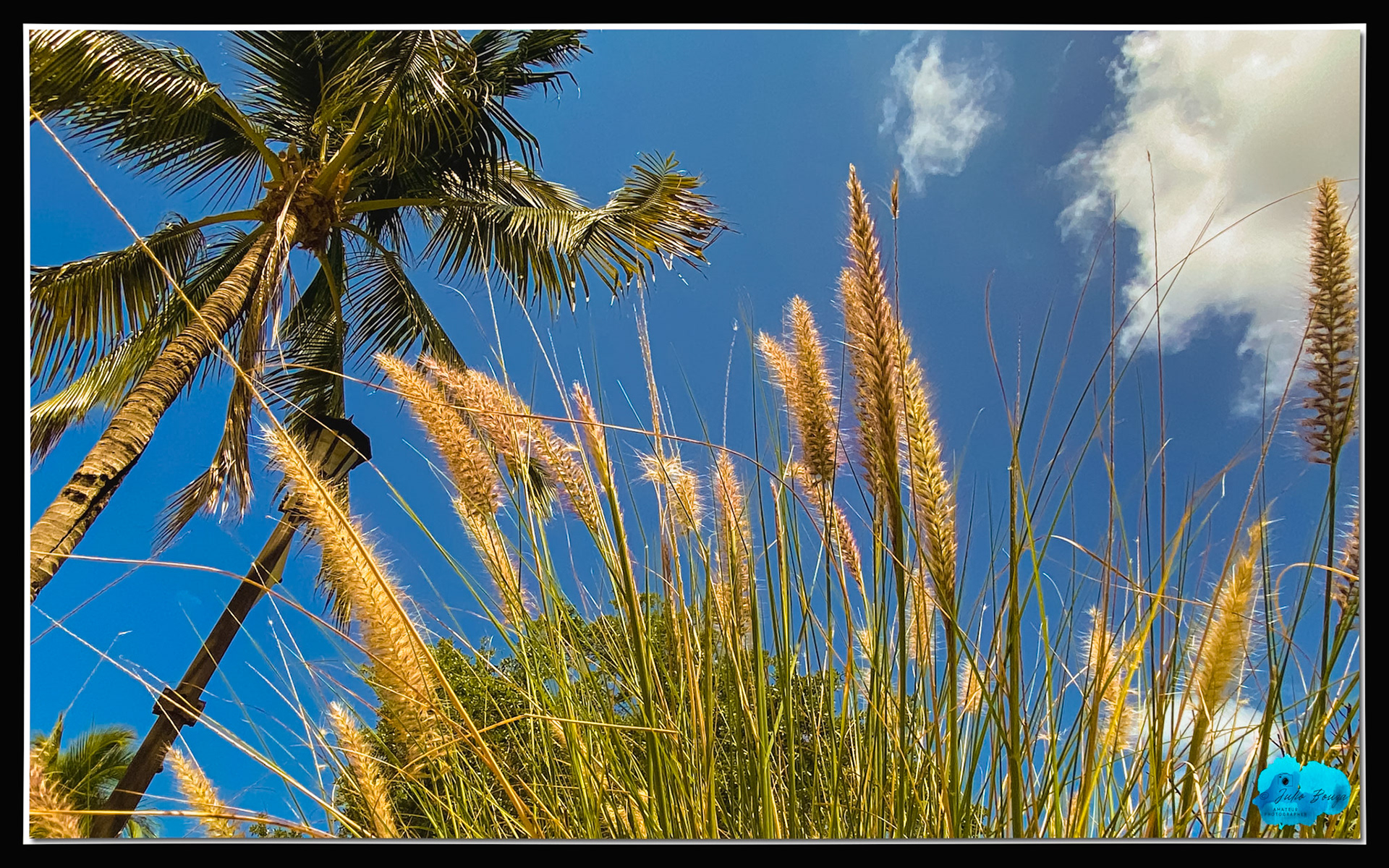 20210418 - Grass View With The Sky