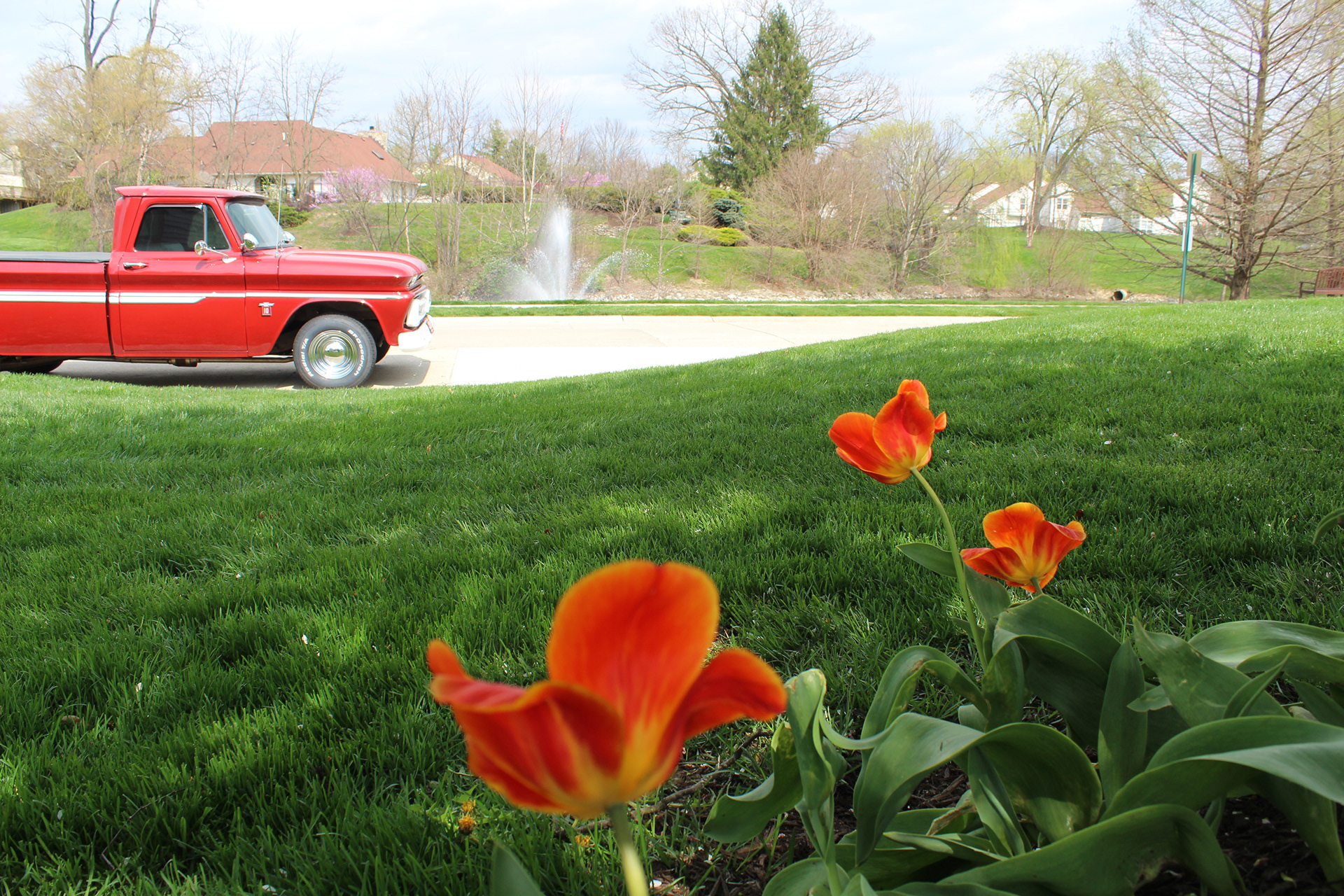 Bayside Woods Indianapolis About