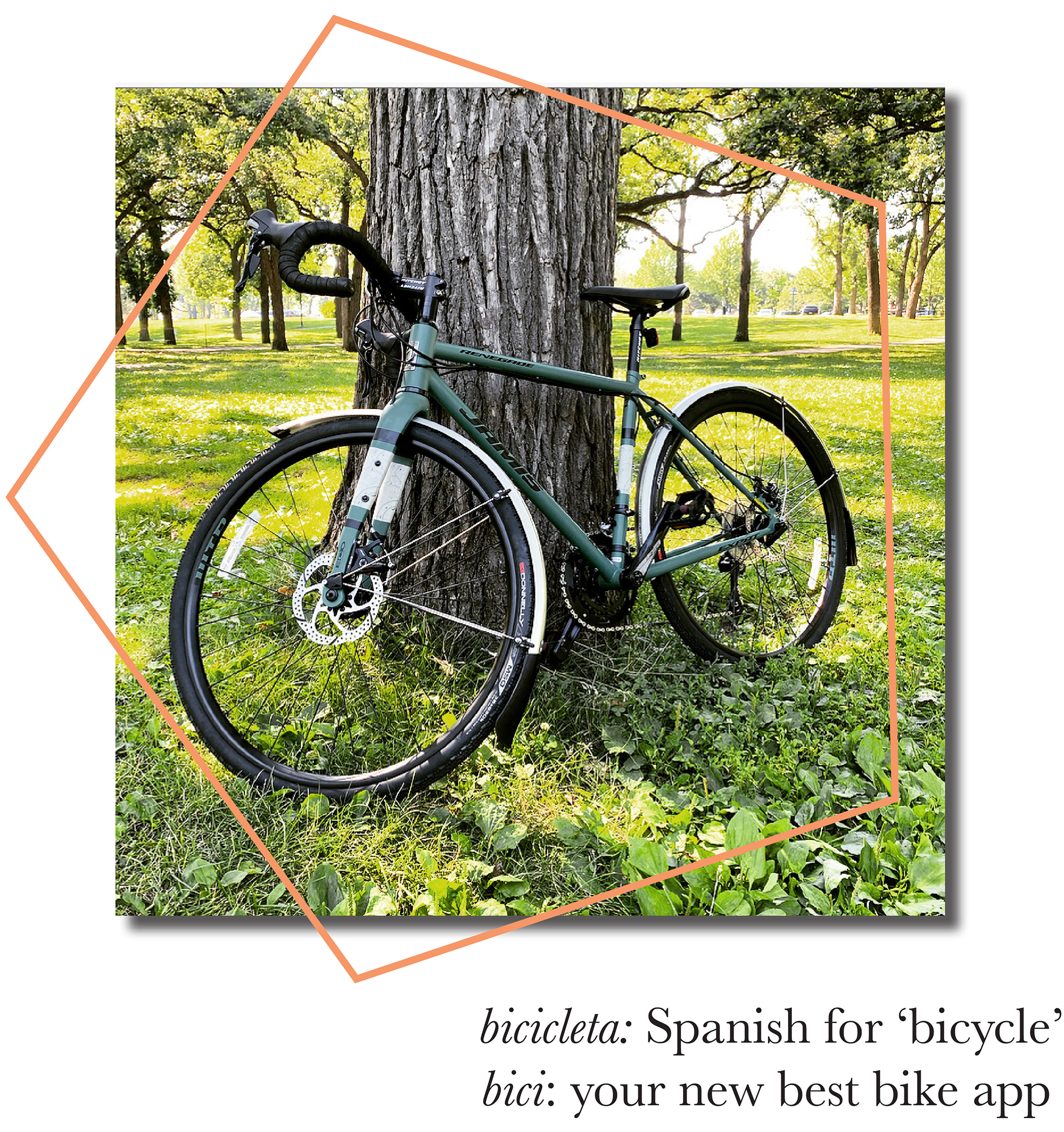 Decorative image of a bike leaning against a tree, text underneath the image that reads "bicicleta: Spanish for 'bicycle,'; bici: your new best bike app