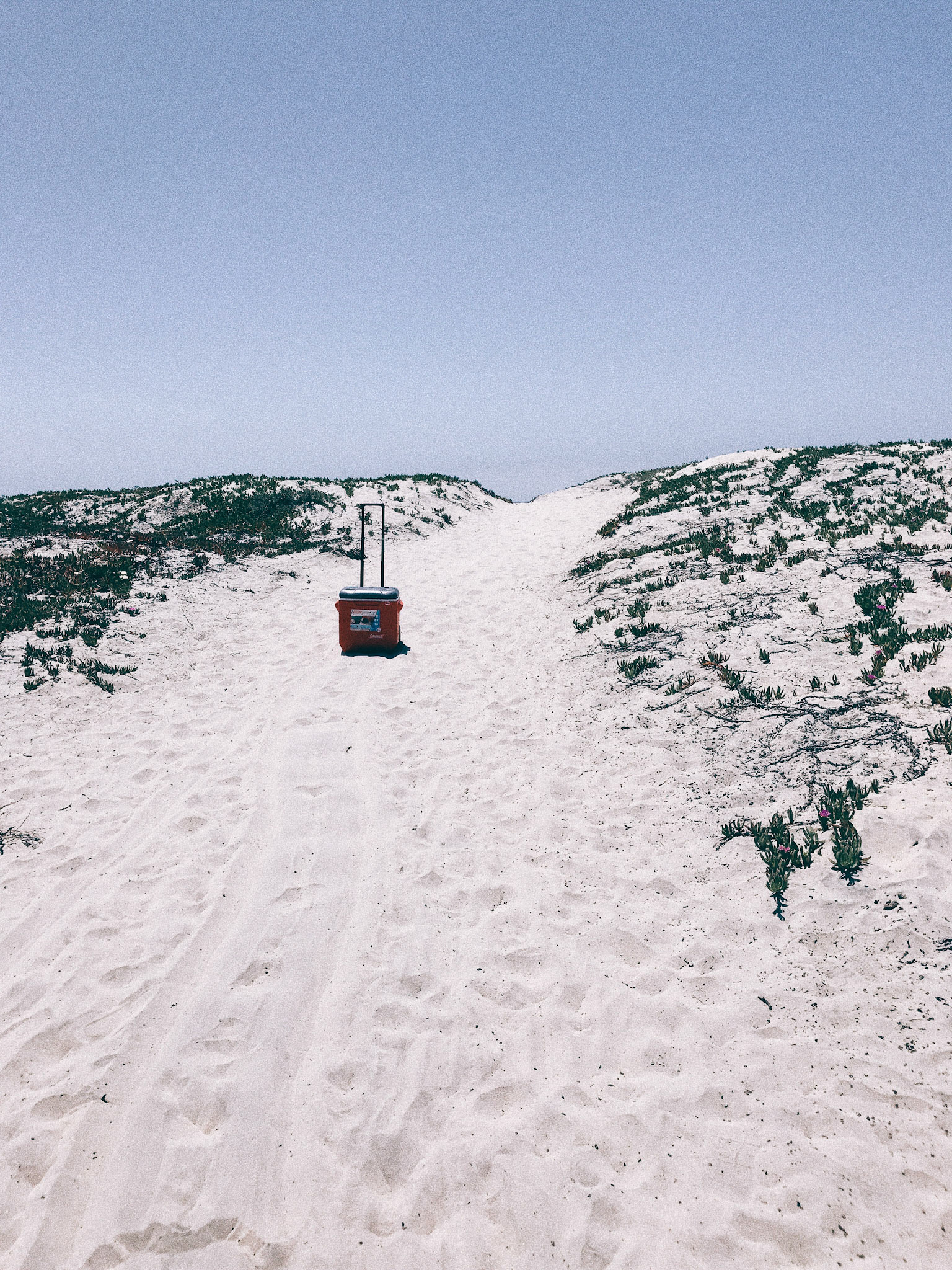Processed with VSCO with hb1 preset
