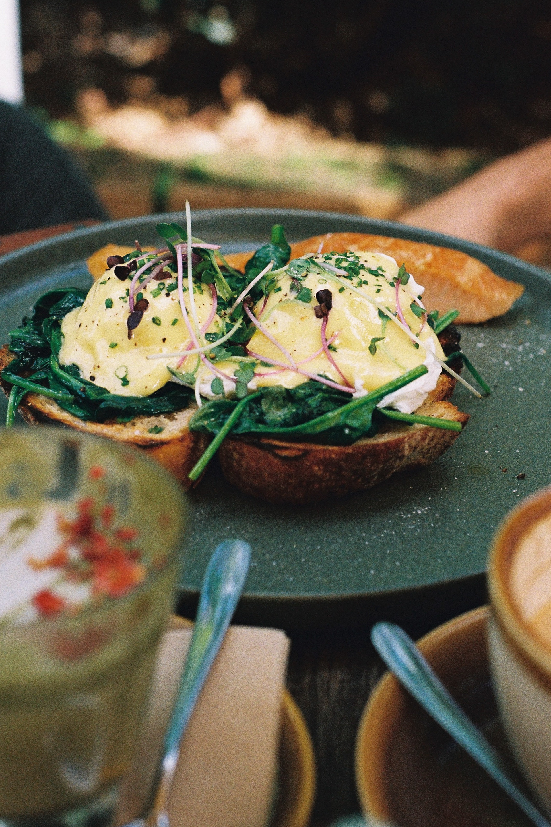 Buckley's Chance / Alstonville, NSW