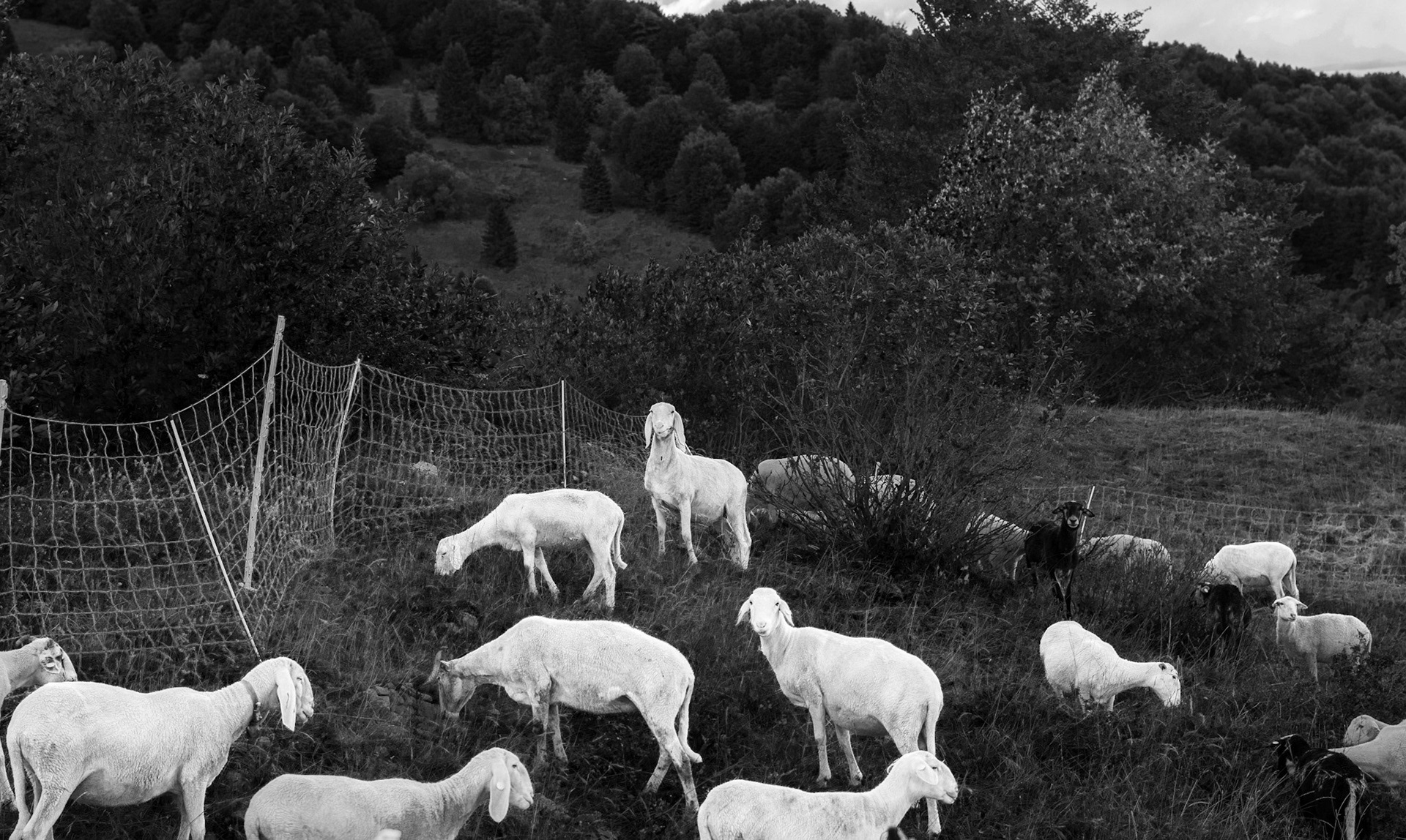 Unknown Location, Italy