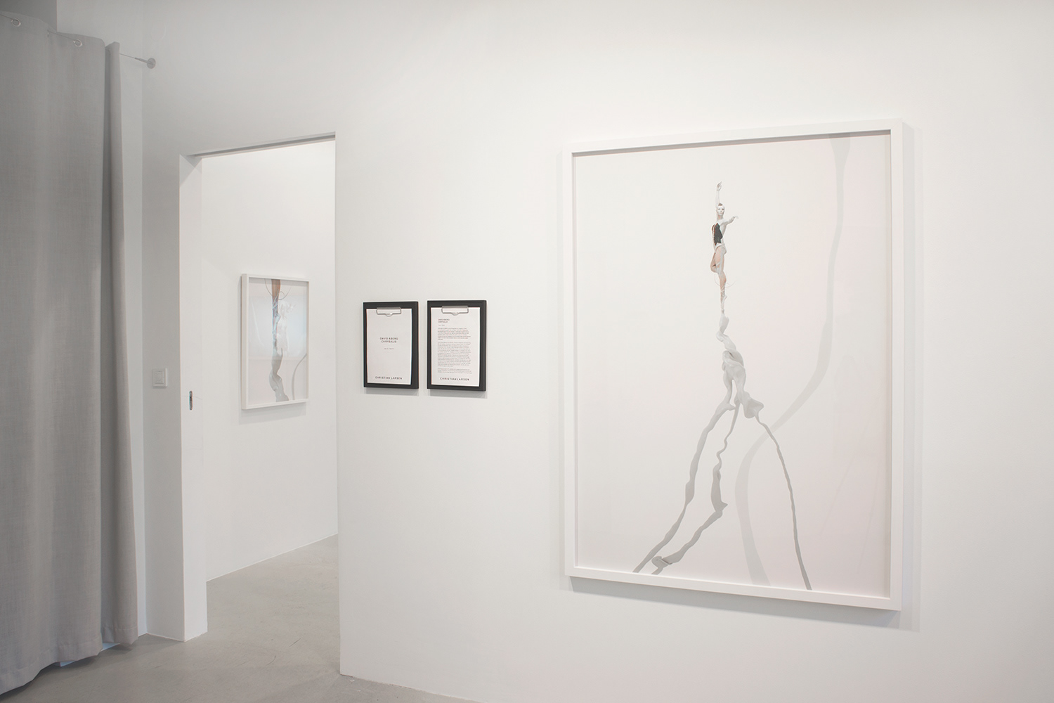Larsen Warner gallery