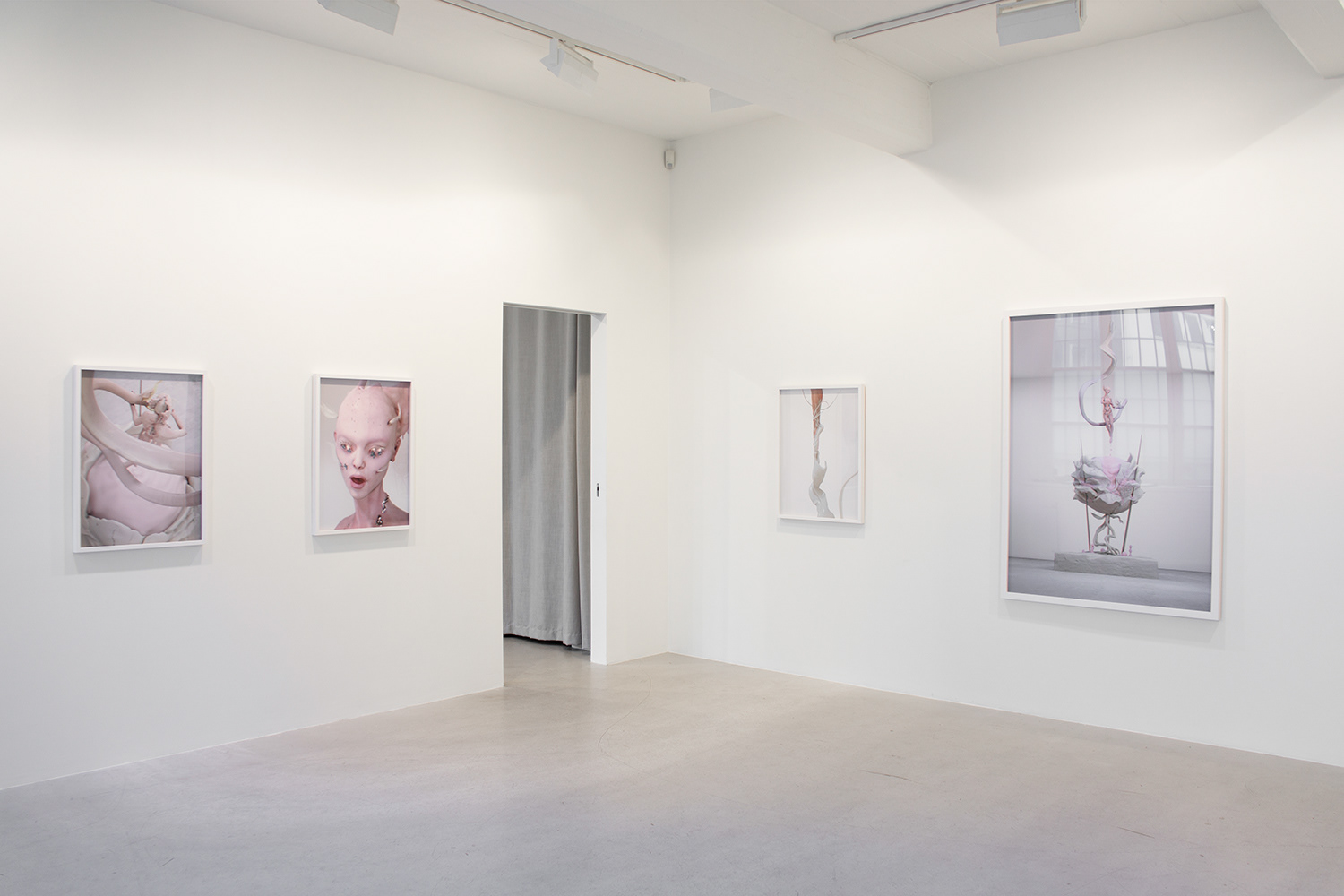 Larsen Warner gallery