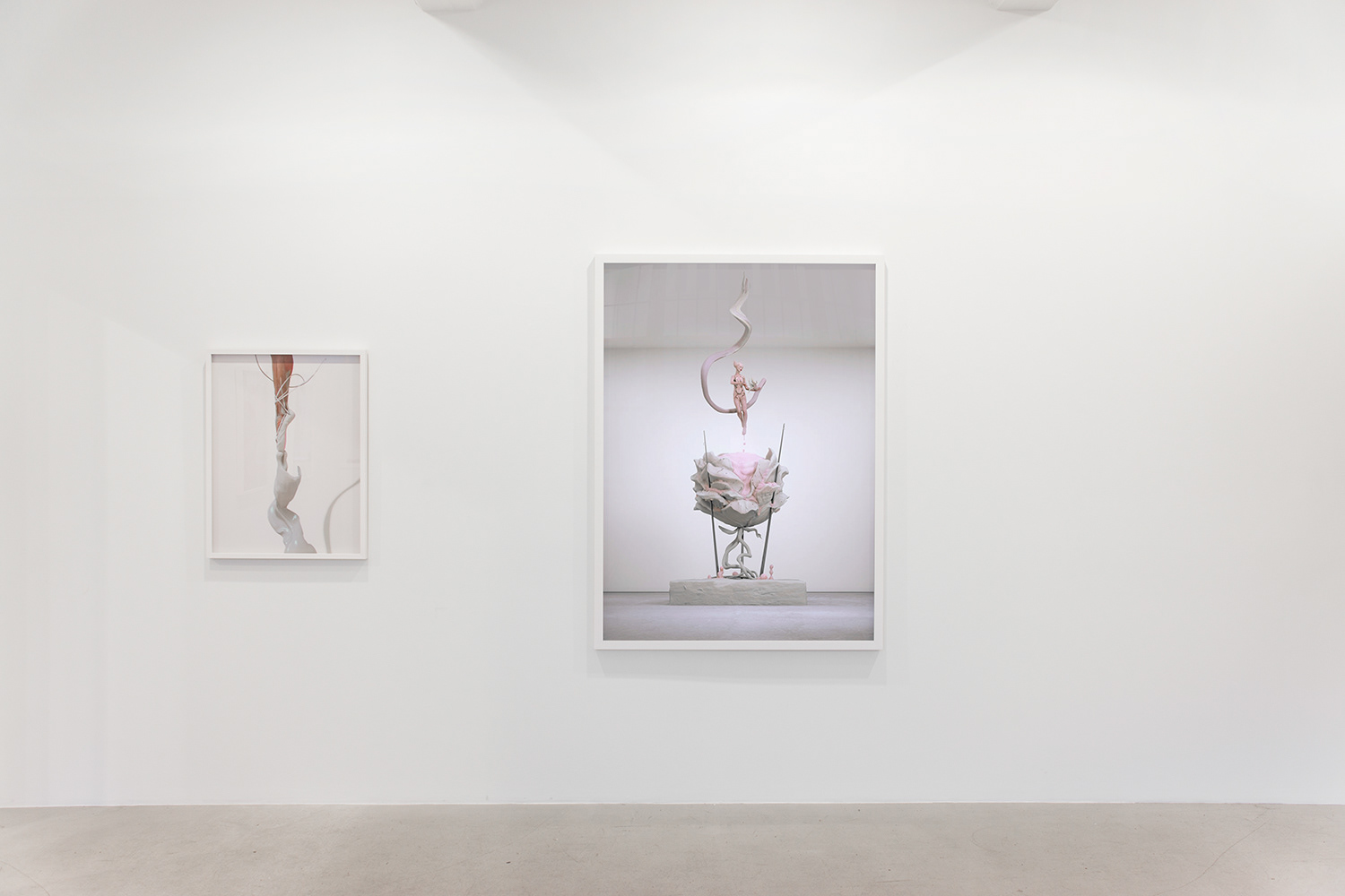 Larsen Warner gallery