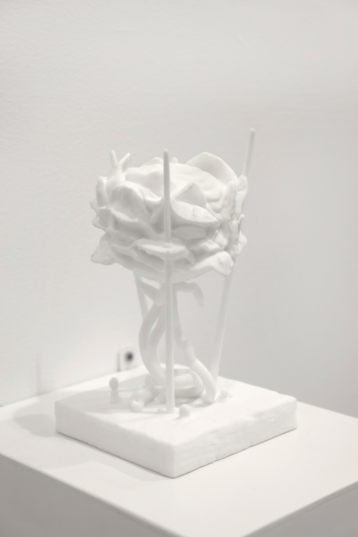 Larsen Warner gallery