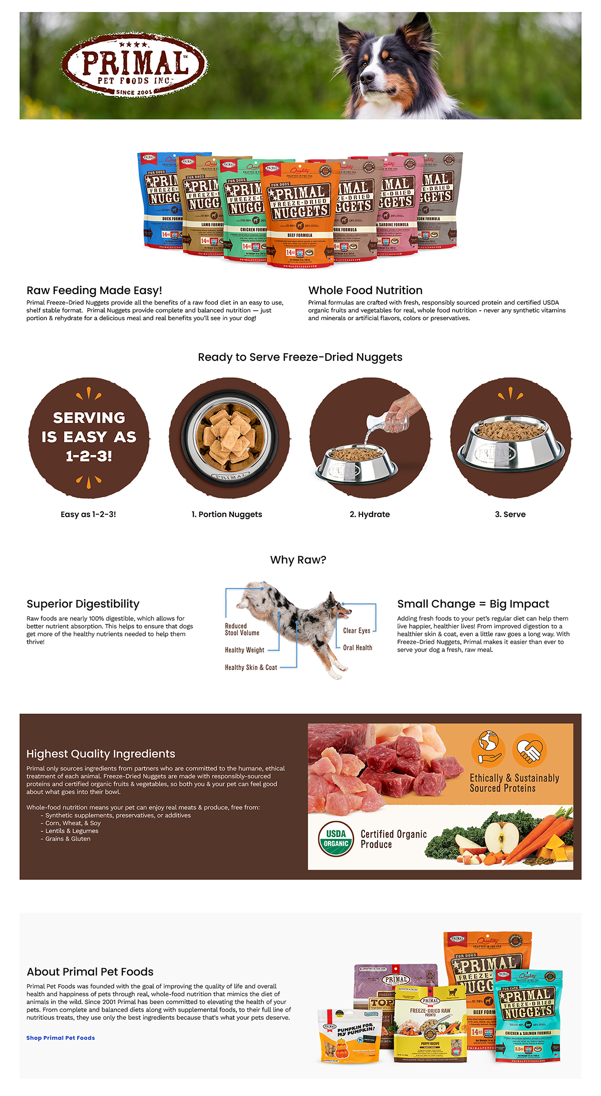 Chewy – FD Nuggets – Dog