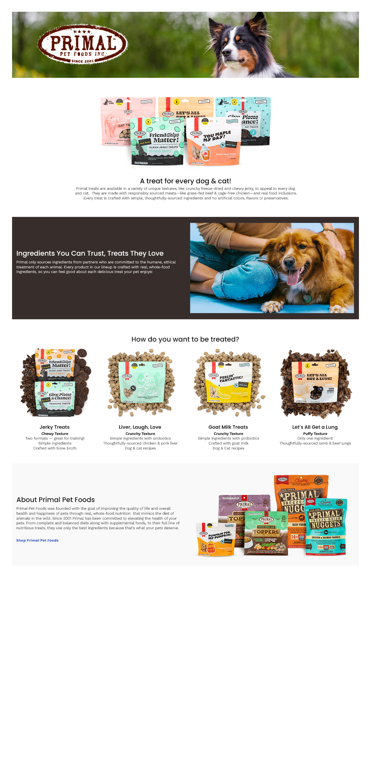 Chewy – Treats