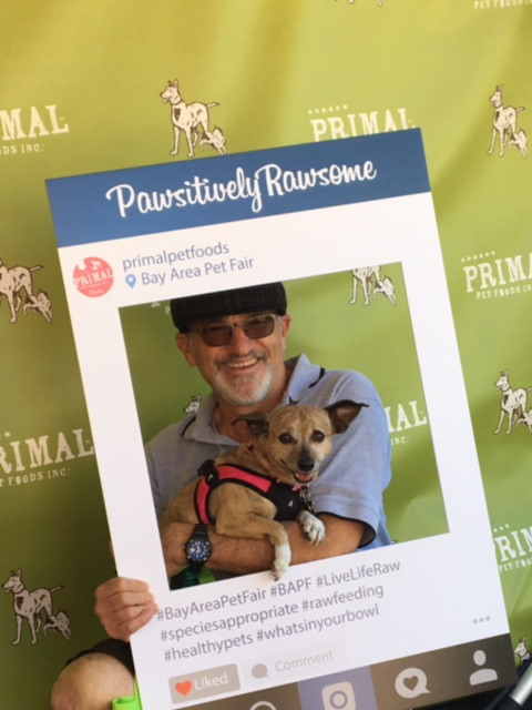 Bay Area Pet Fair