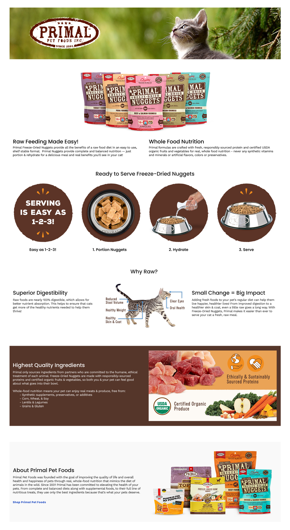 Chewy – FD Nuggets – Cat