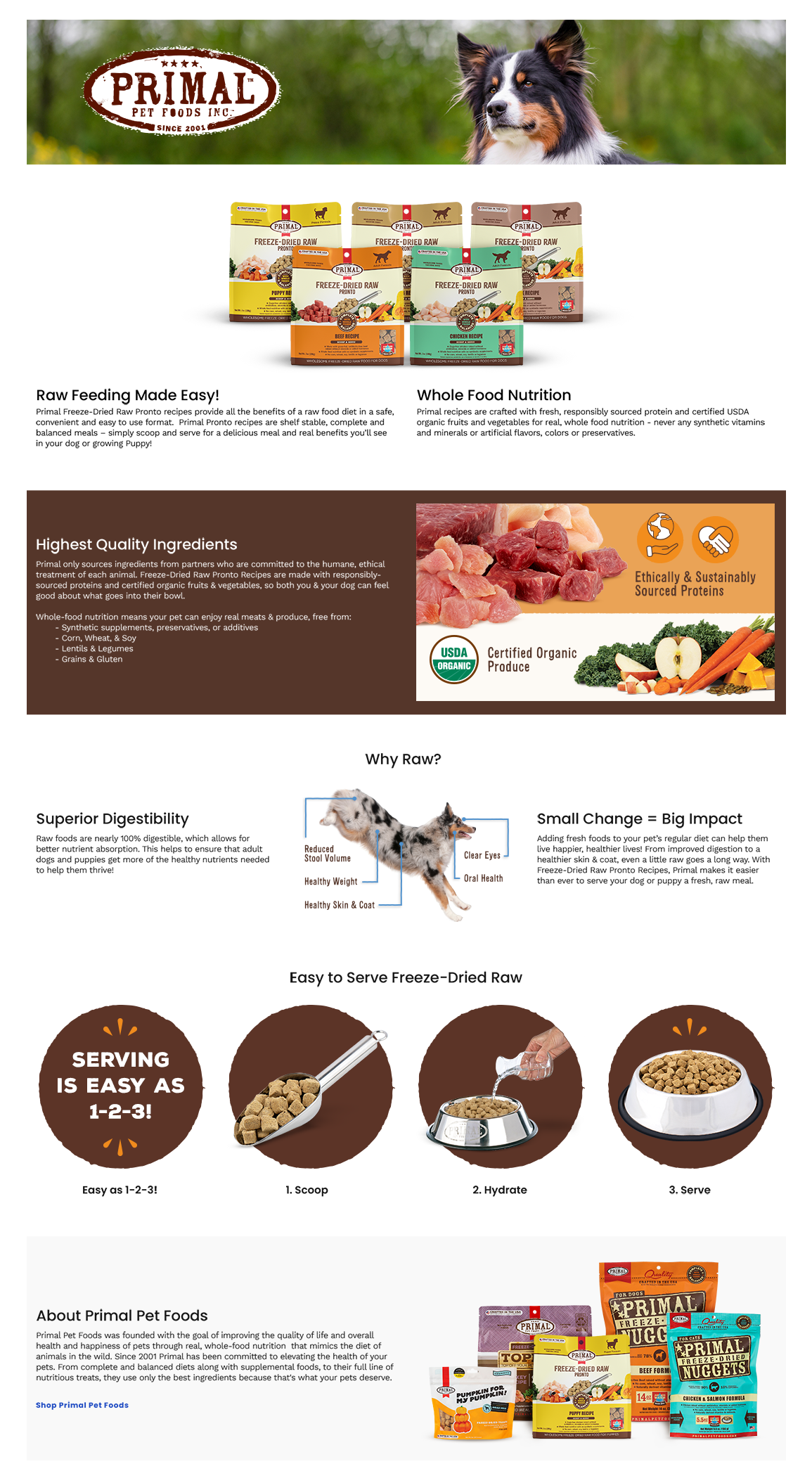 Chewy – FD Pronto