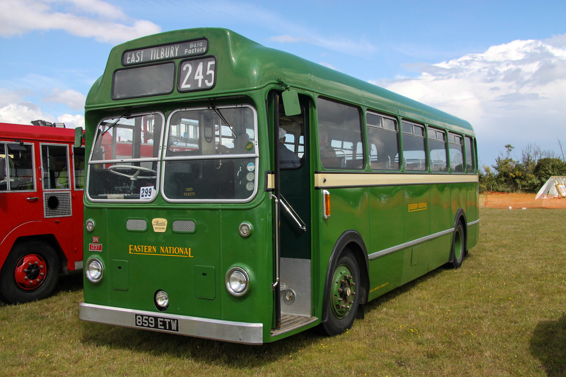 Heavy Shire Horse Show