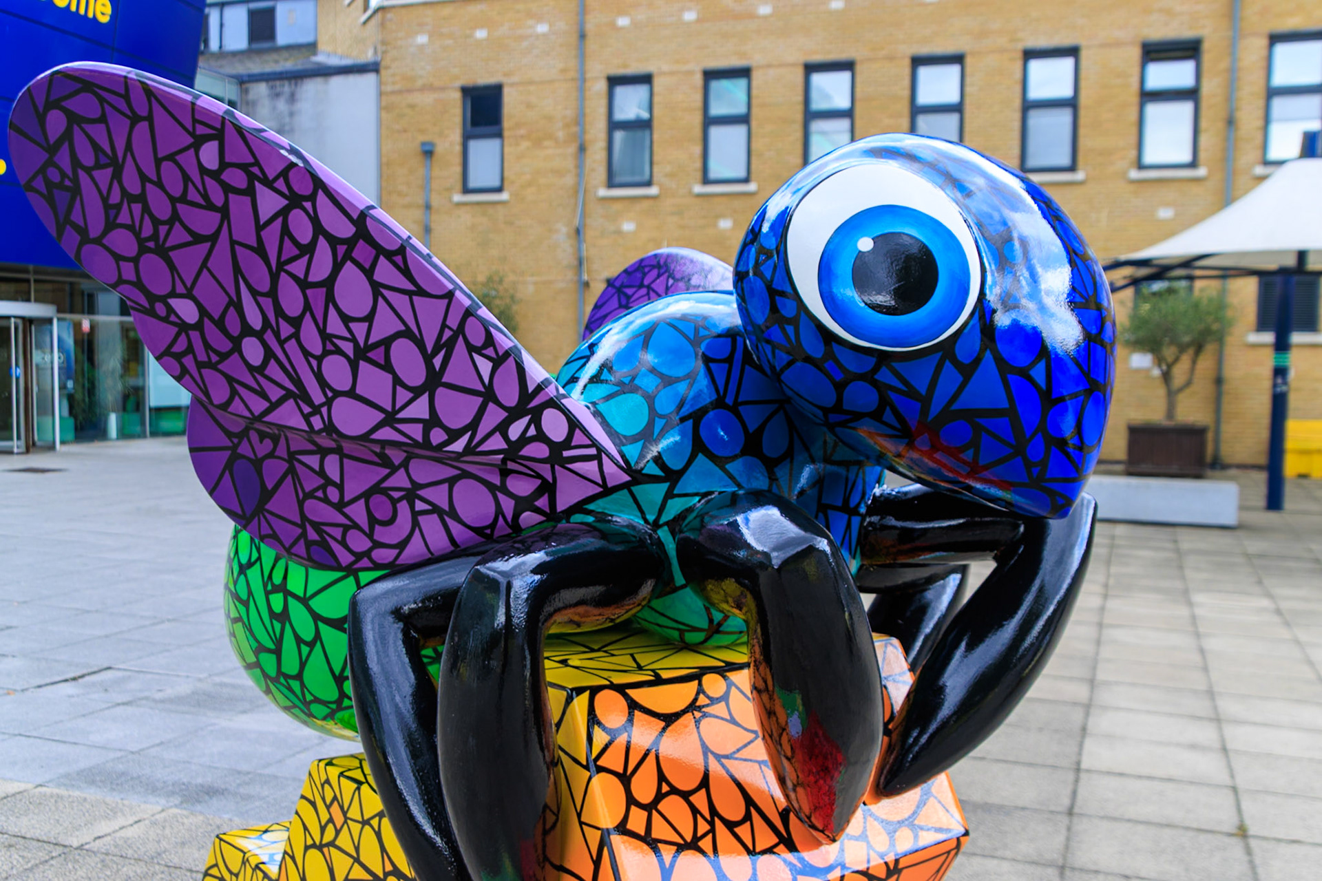 Buzz in the City - Beedazzle